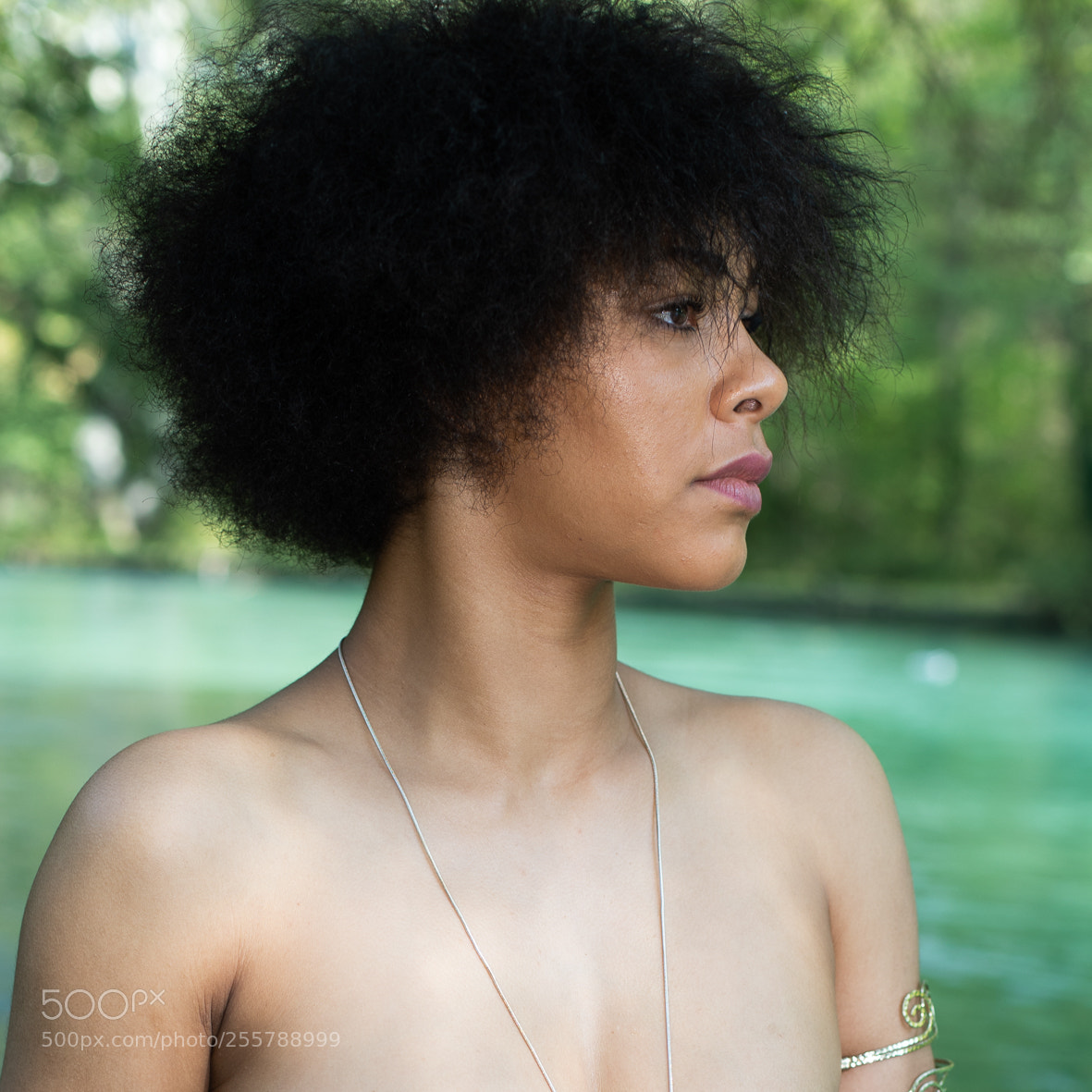 Canon EOS-1D X Mark II sample photo. Avoir le profil photography