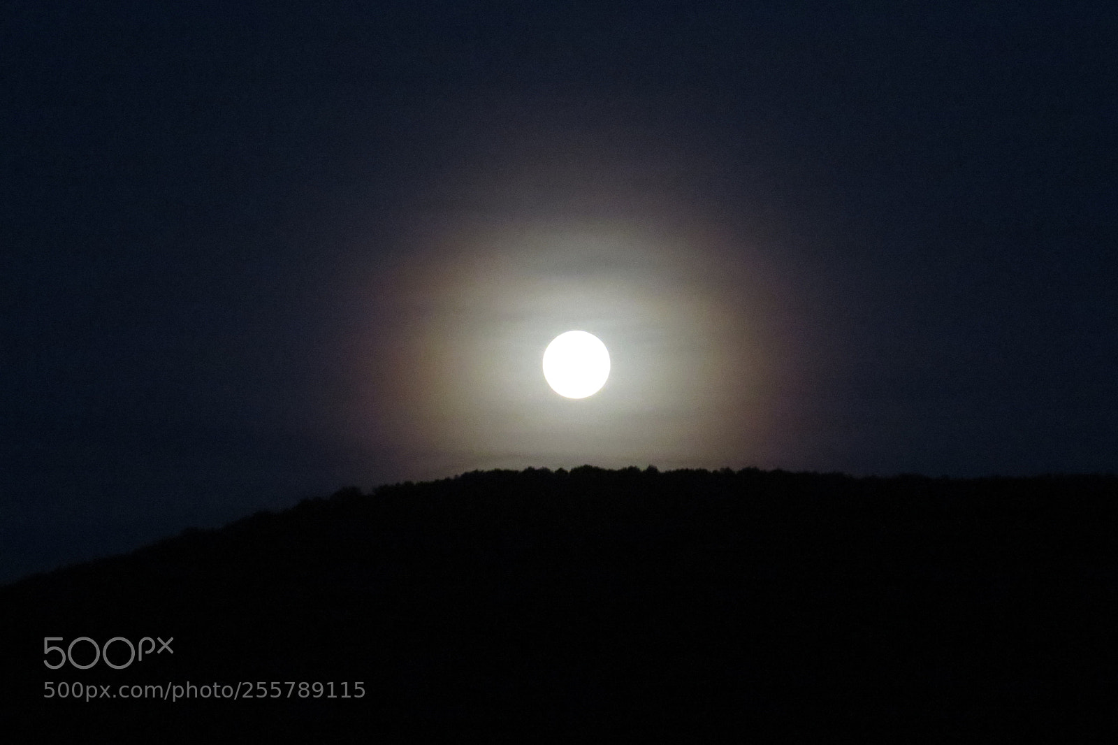 Canon PowerShot SX50 HS sample photo. Moonrise photography