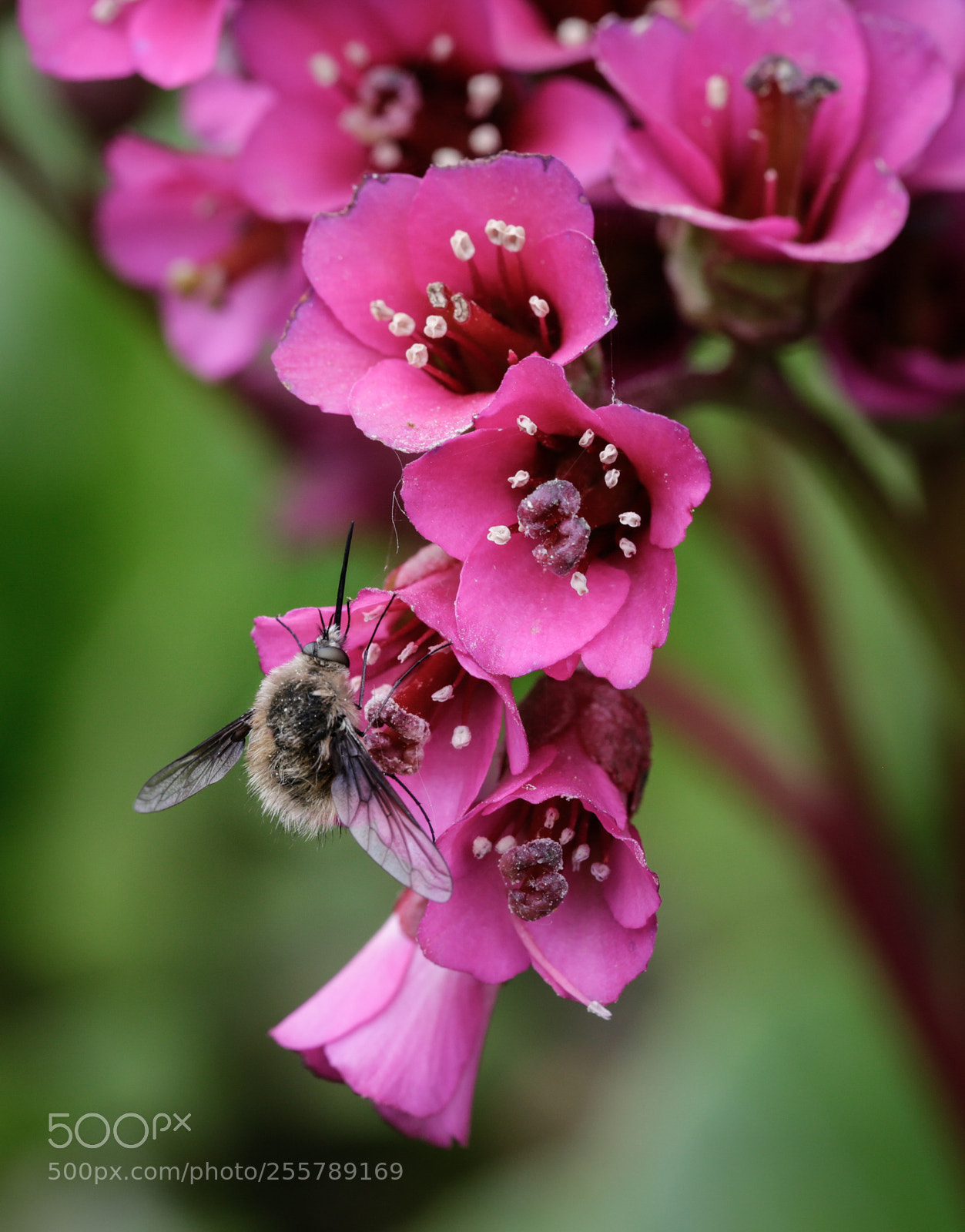 Canon EOS 6D sample photo. Untitled photography