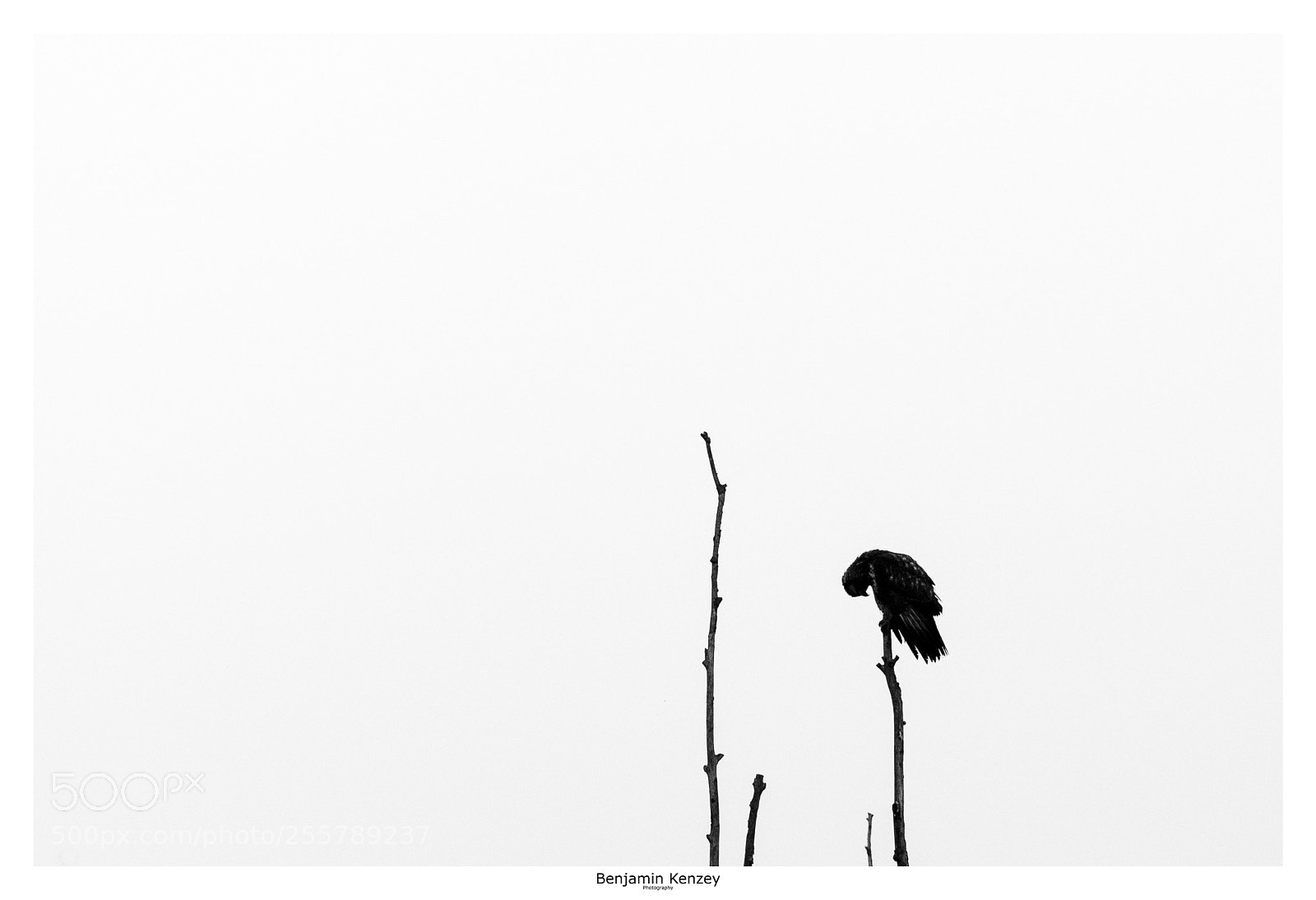 Canon EOS 5D Mark IV sample photo. Buse variable. désolation photography