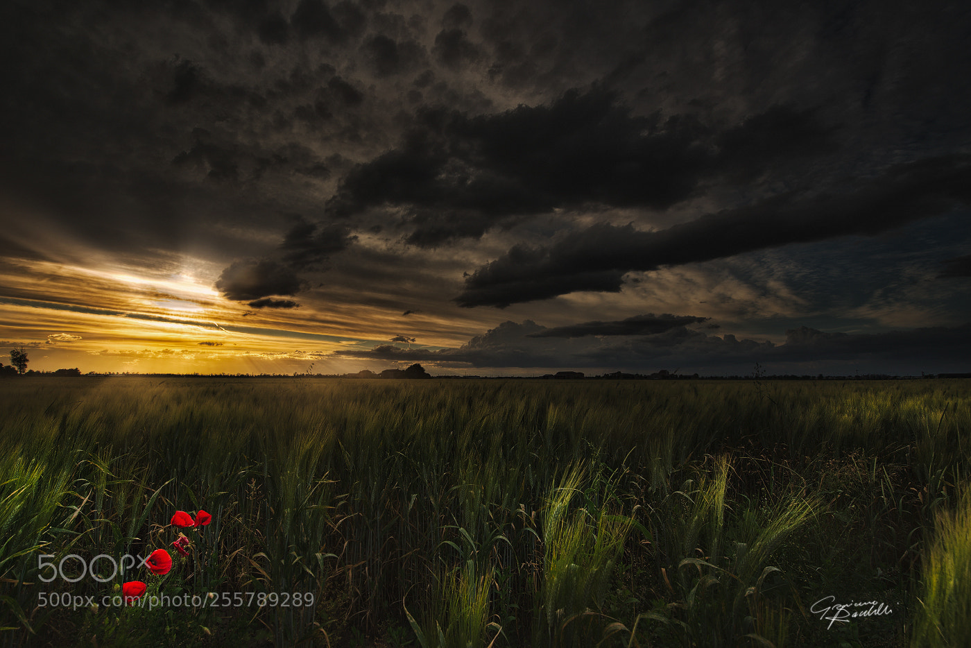 Nikon D800 sample photo. Ultimo raggio photography