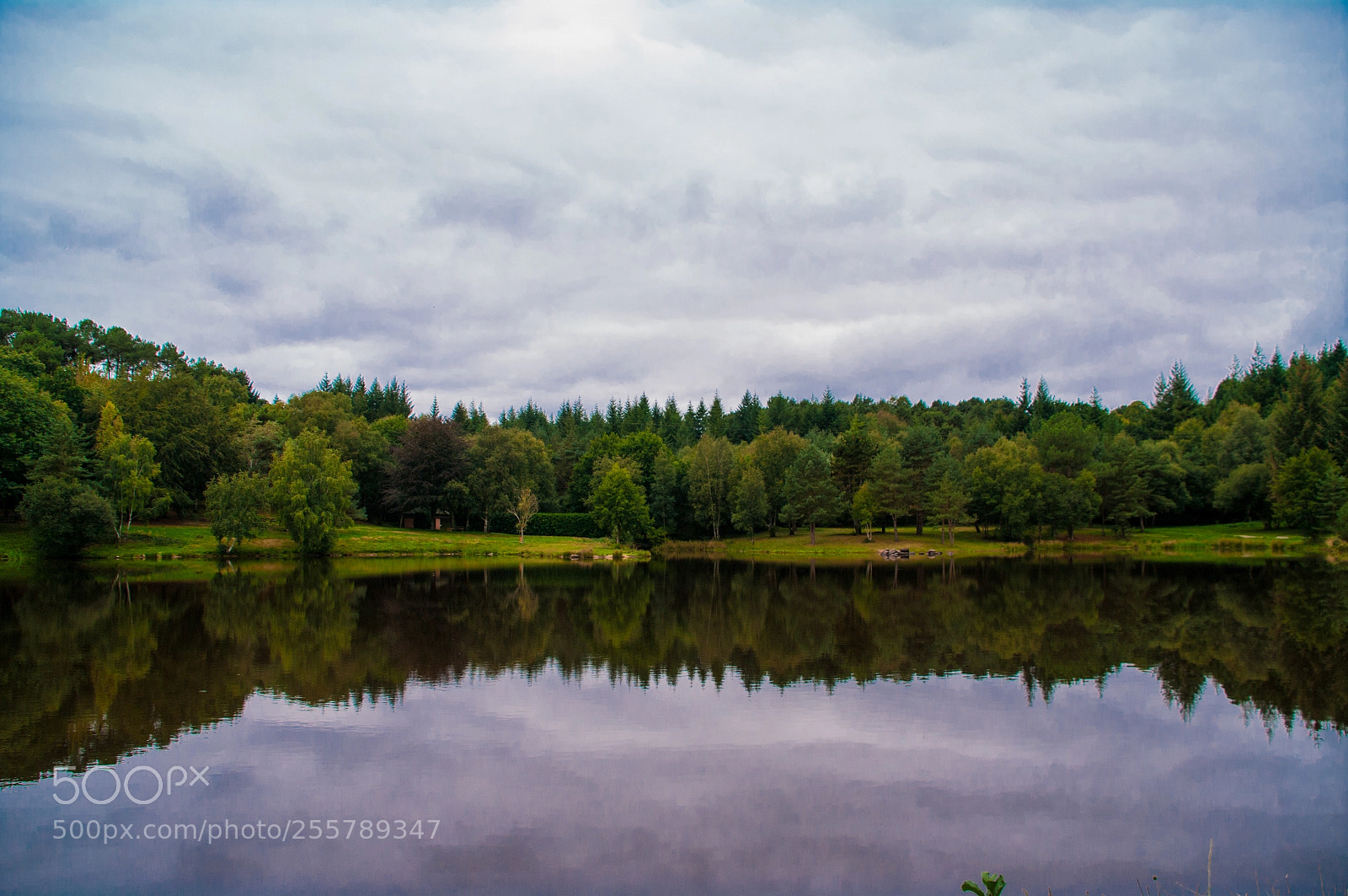 Pentax K20D sample photo. Bosque reflejado en el photography