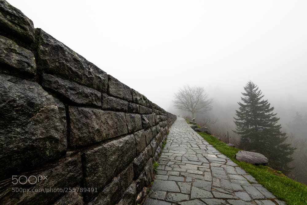 Nikon D850 sample photo. Foggy morning at newfound photography