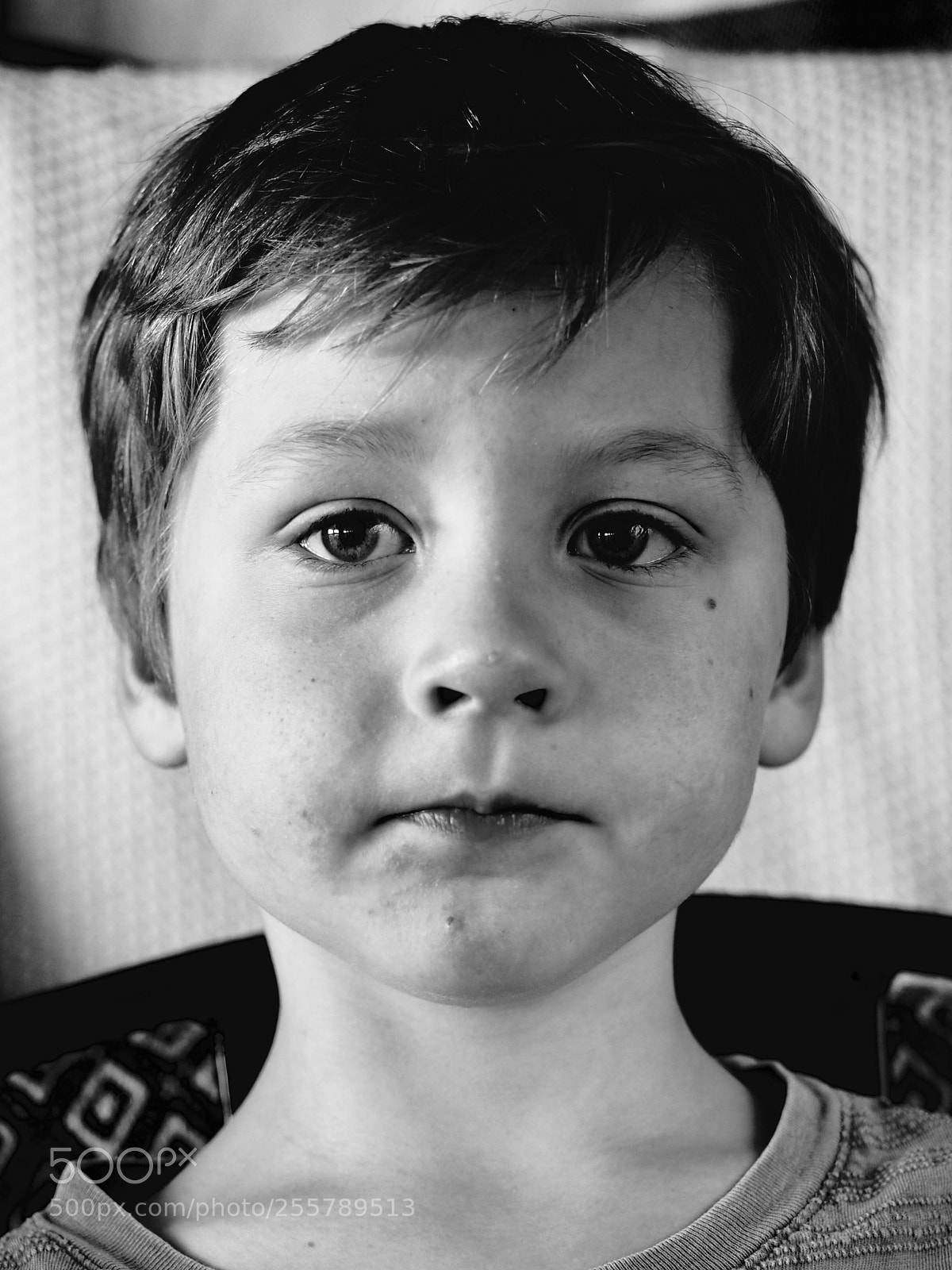 Olympus OM-D E-M5 II sample photo. Untitled photography