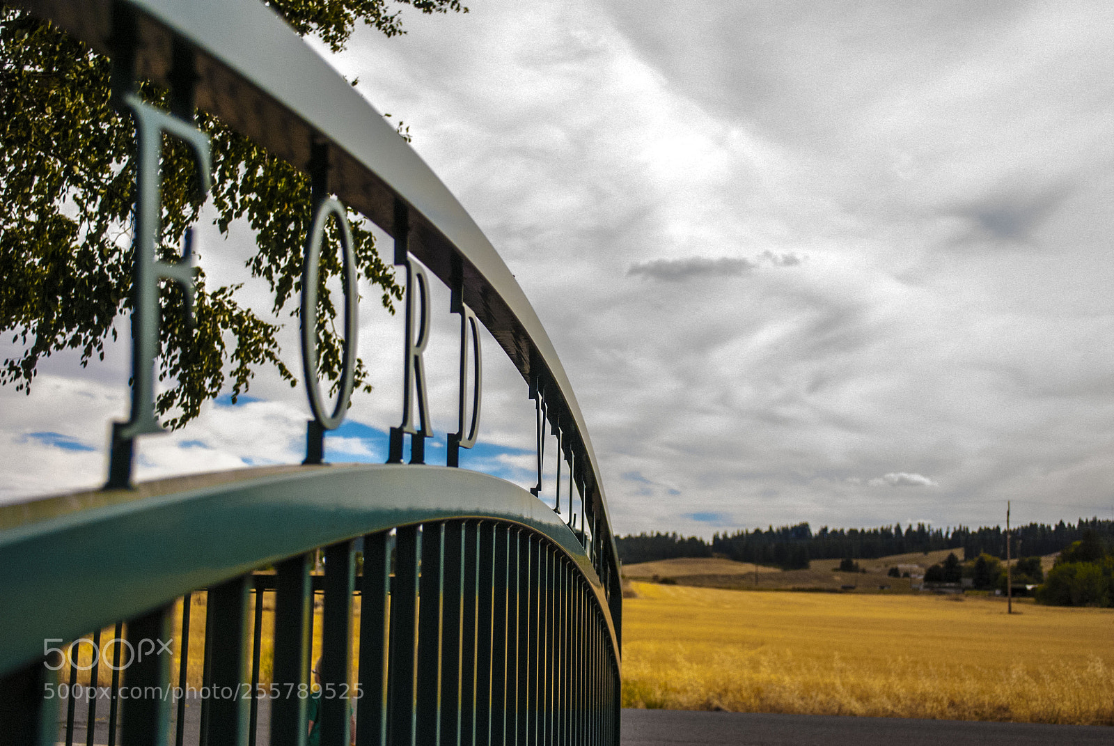 Nikon D80 sample photo. Gate photography