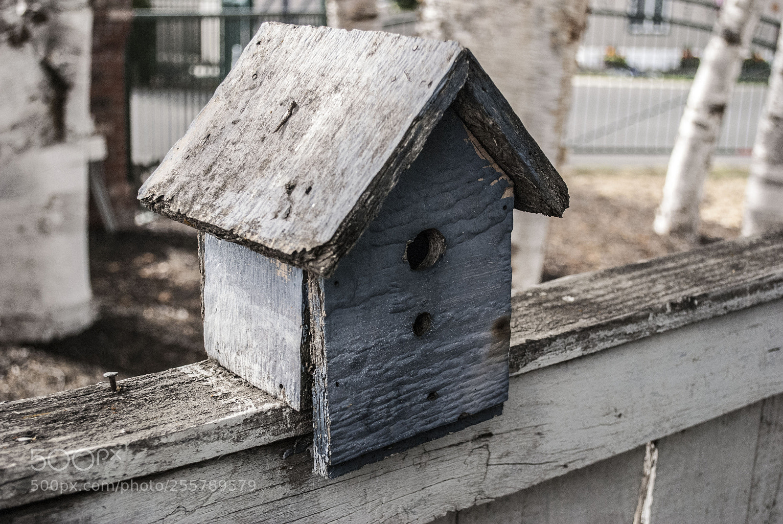 Nikon D80 sample photo. Birdhouse photography