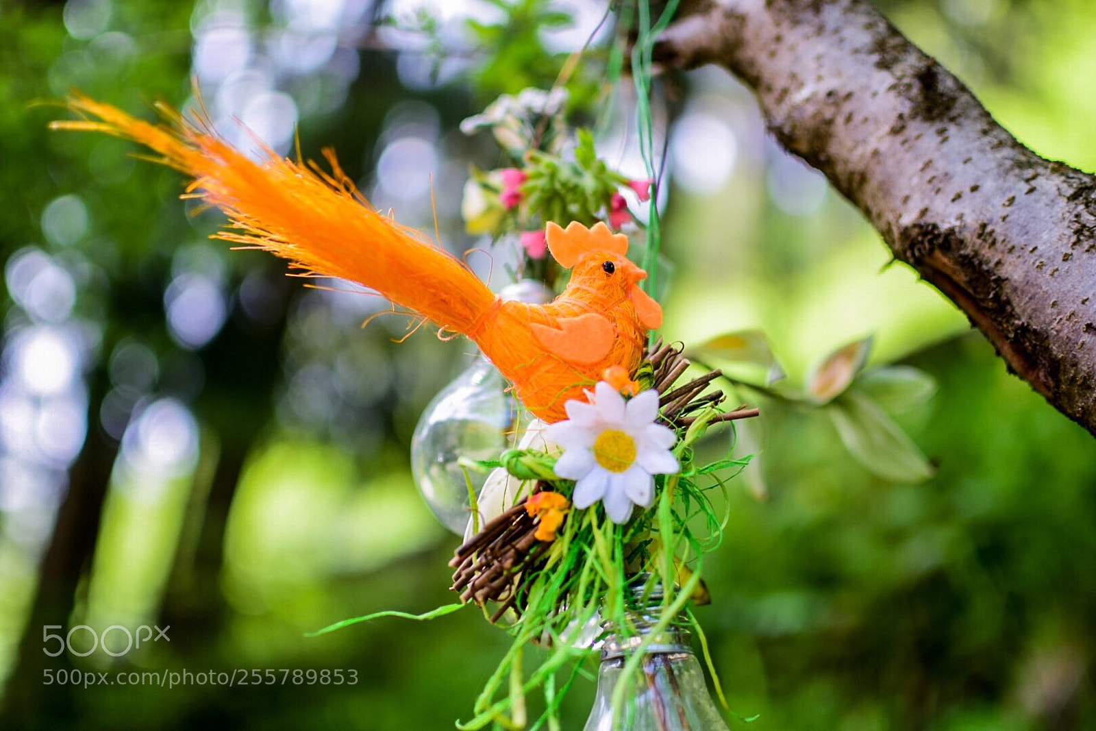 Nikon D5300 sample photo. Nature art photography
