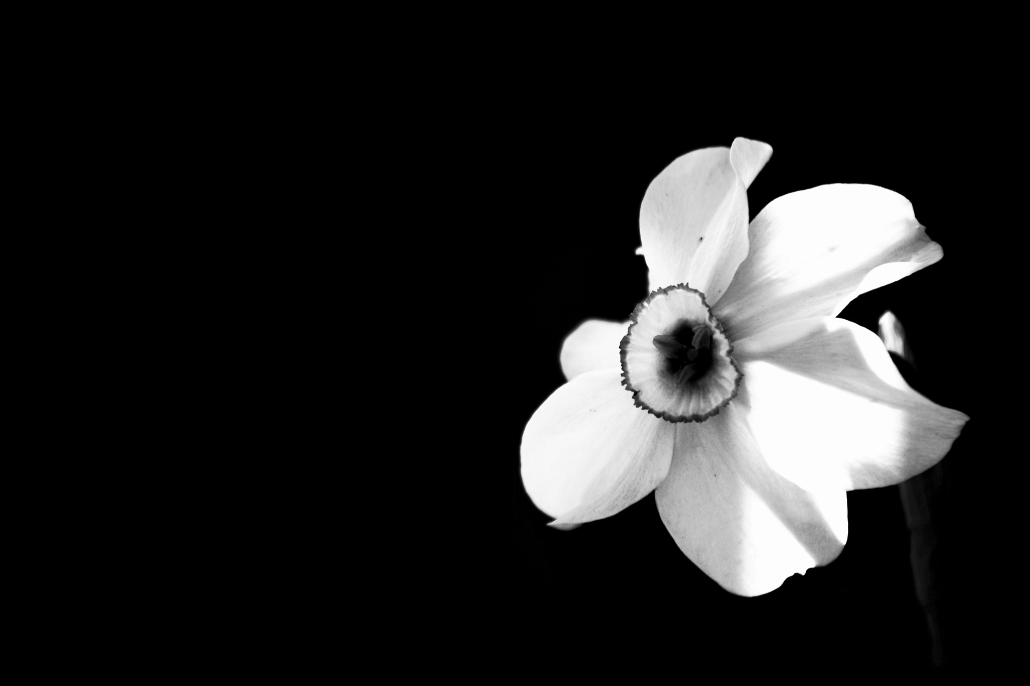 Nikon D7200 sample photo. Estrangement photography