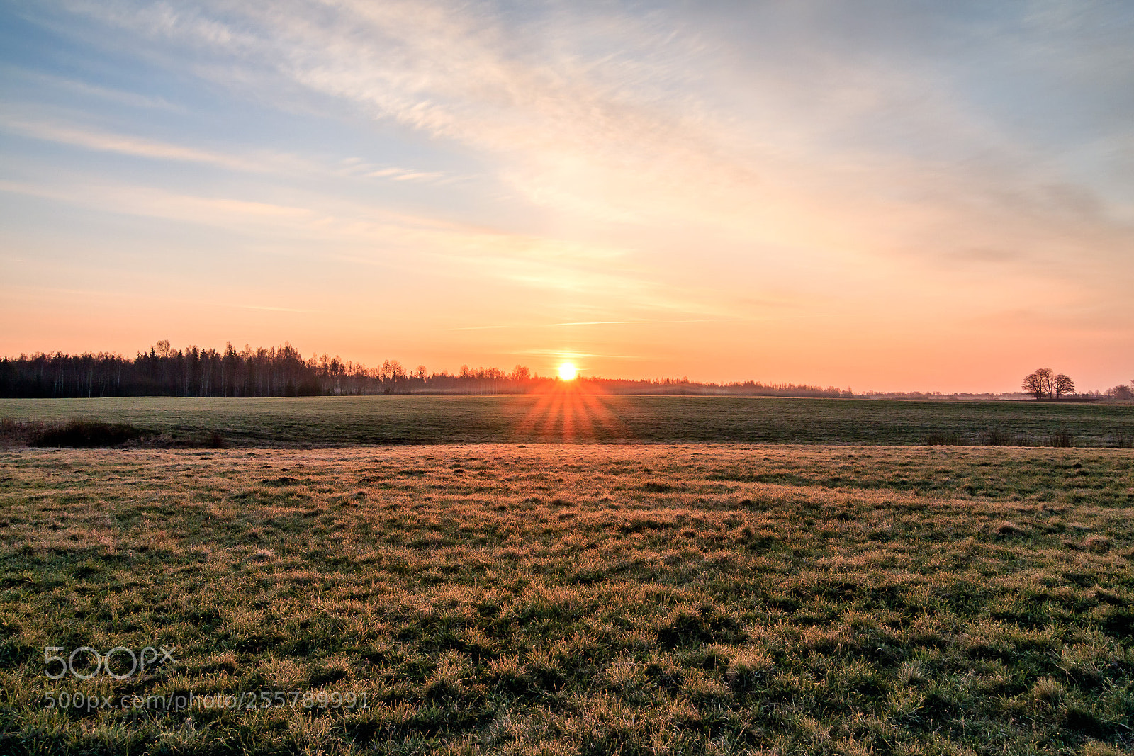 Canon EOS 70D sample photo. Sunday morning. photography