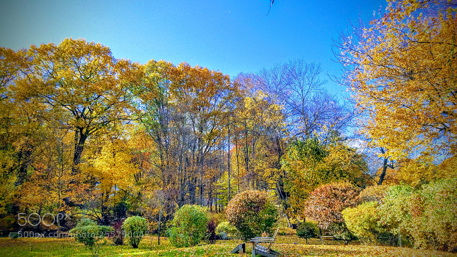 Samsung Galaxy S7 Edge sample photo. Fall in connecticut photography