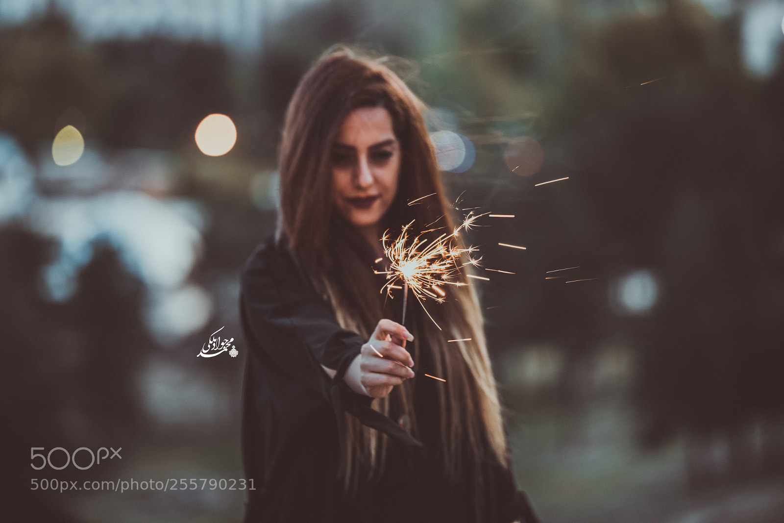 Nikon D850 sample photo. Fireworks ii photography