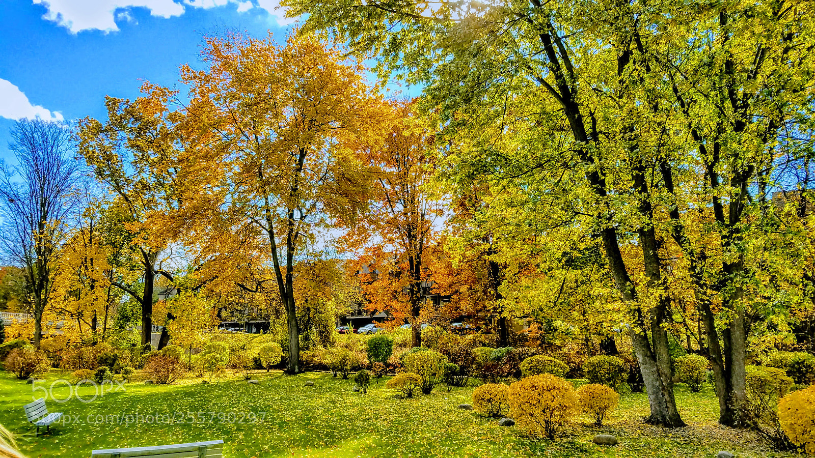 Samsung Galaxy S7 Edge sample photo. Fall in connecticut photography