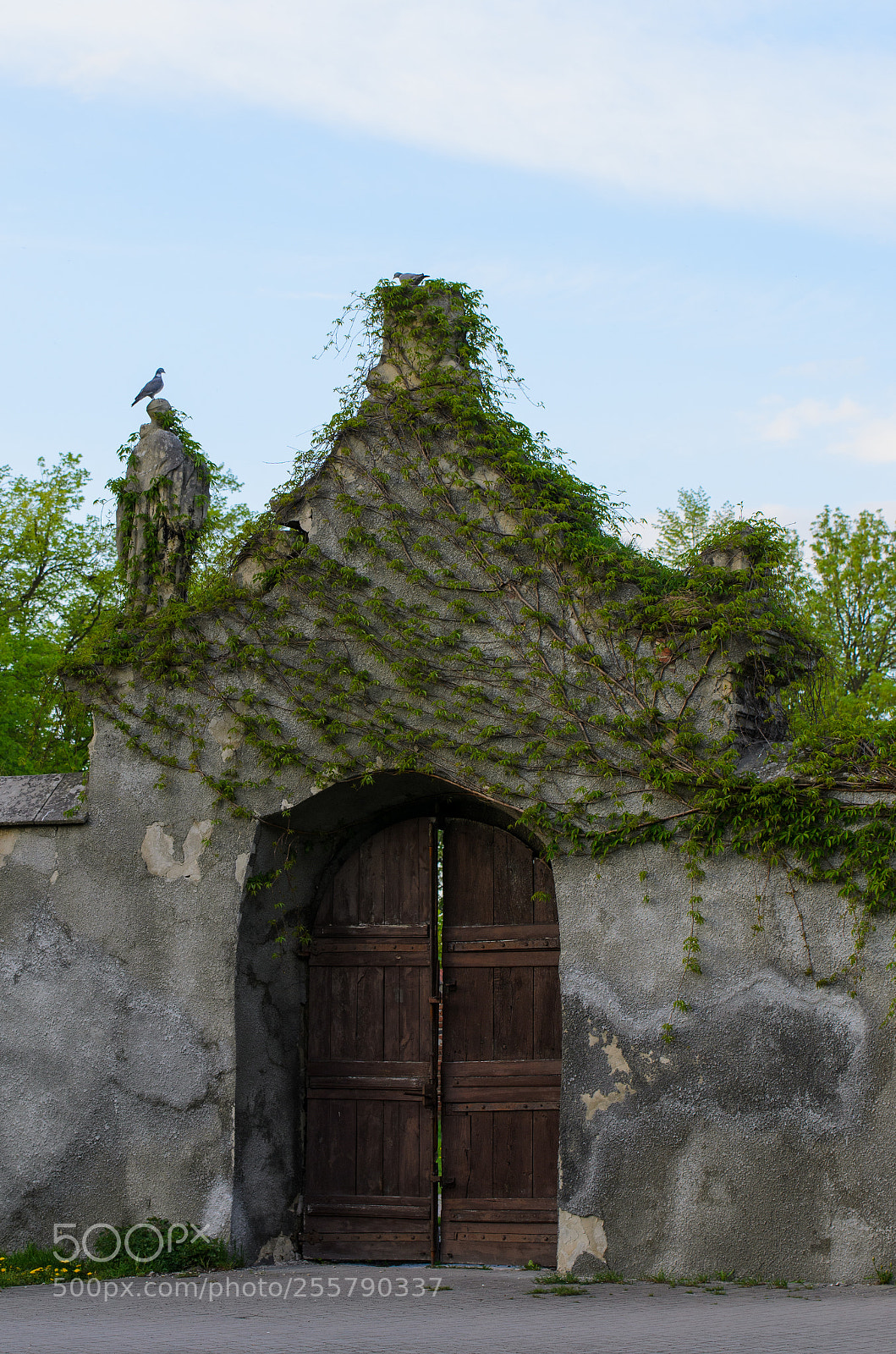 Nikon D7000 sample photo. The gate photography