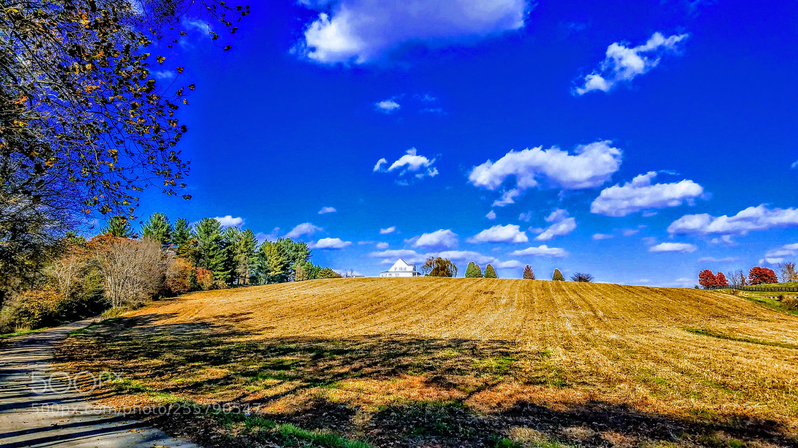 Samsung Galaxy S7 Edge sample photo. Fall in charlottesville photography