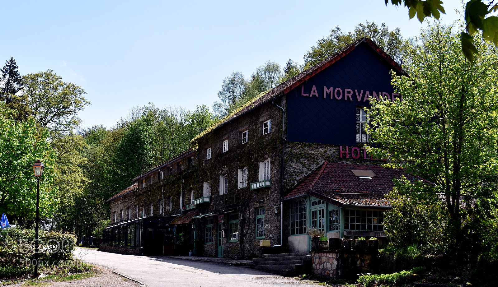 Nikon D3400 sample photo. Quand on a faim photography