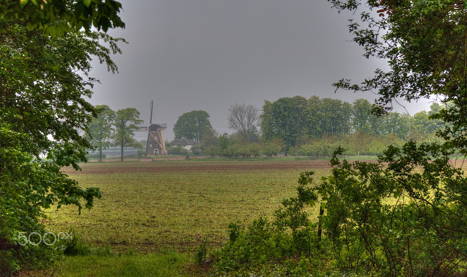 Canon EF-S 17-85mm F4-5.6 IS USM sample photo. Zoelen photography