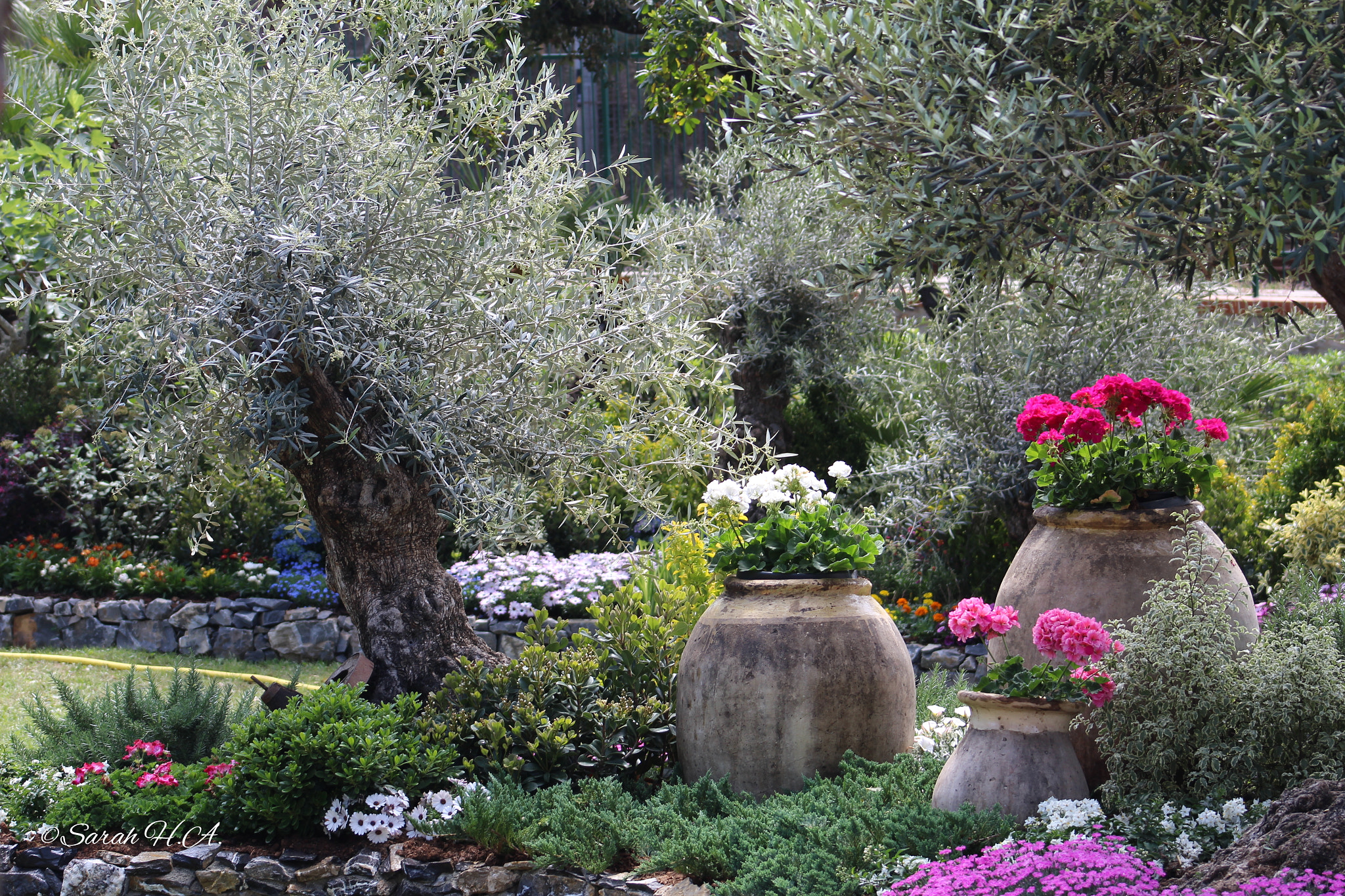 Canon EF 75-300mm f/4-5.6 sample photo. Park design photography