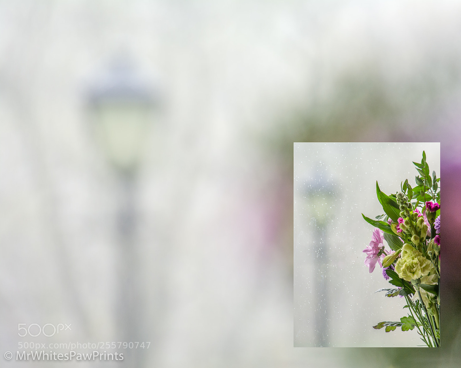 Nikon D7100 sample photo. Pic in pic photography