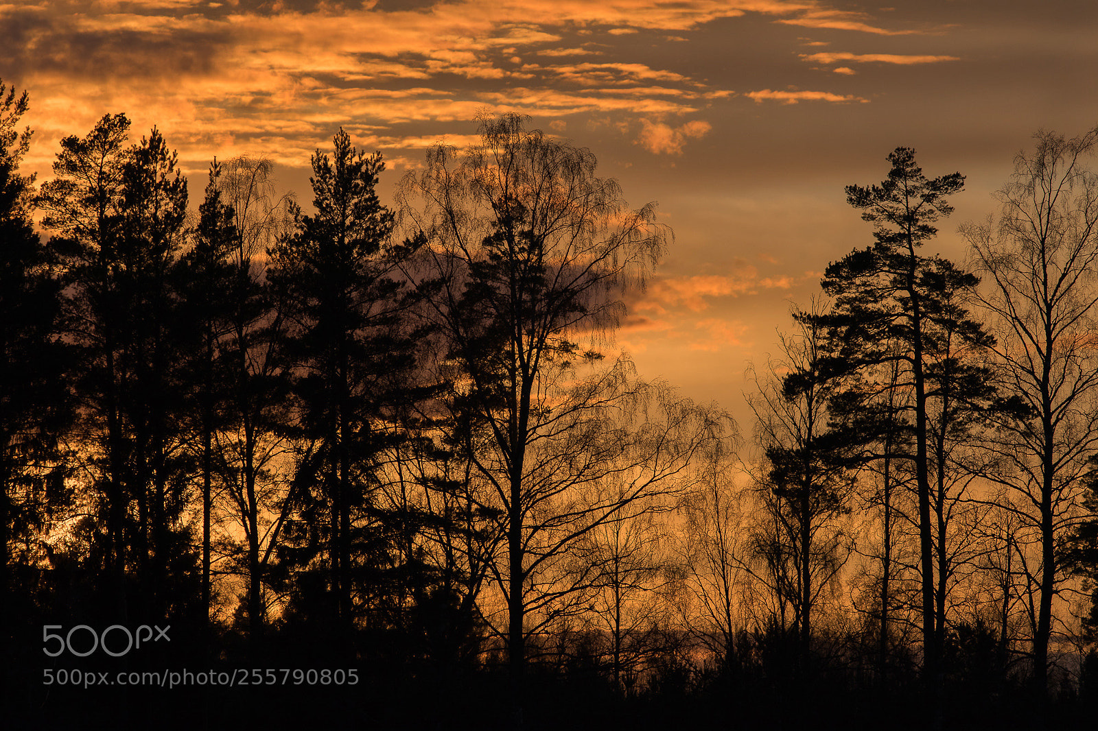 Canon EOS 5D Mark IV sample photo. Last light photography