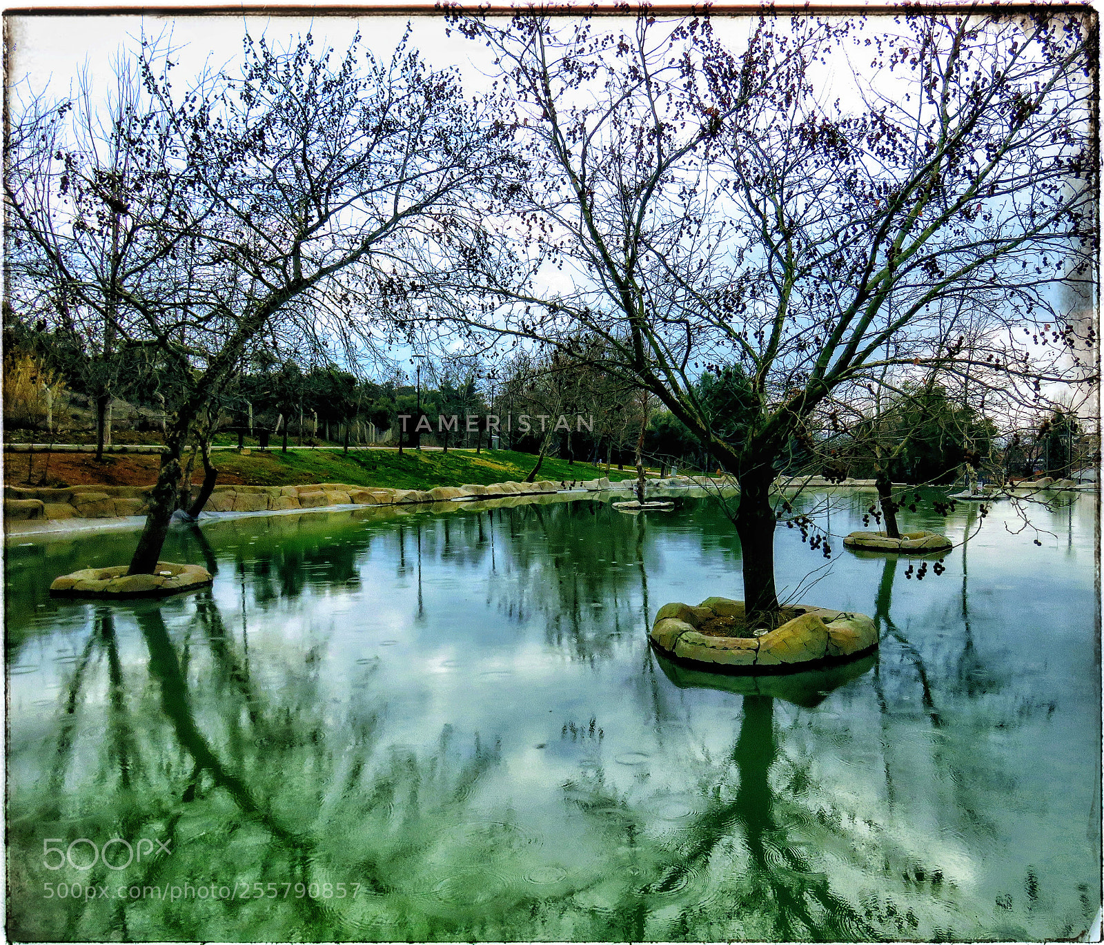 Canon PowerShot SX710 HS sample photo. Reflection. photography