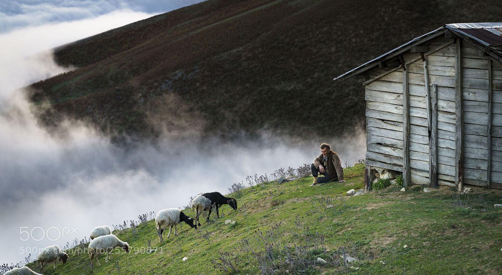 Sony a7R II sample photo. Over misty mountains photography