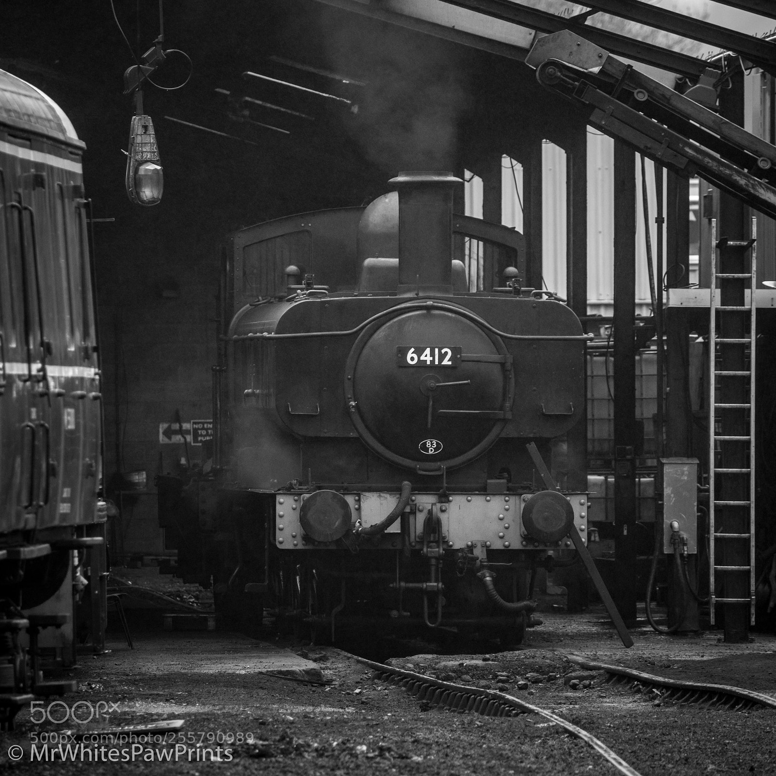 Nikon D7100 sample photo. South devon railway photography