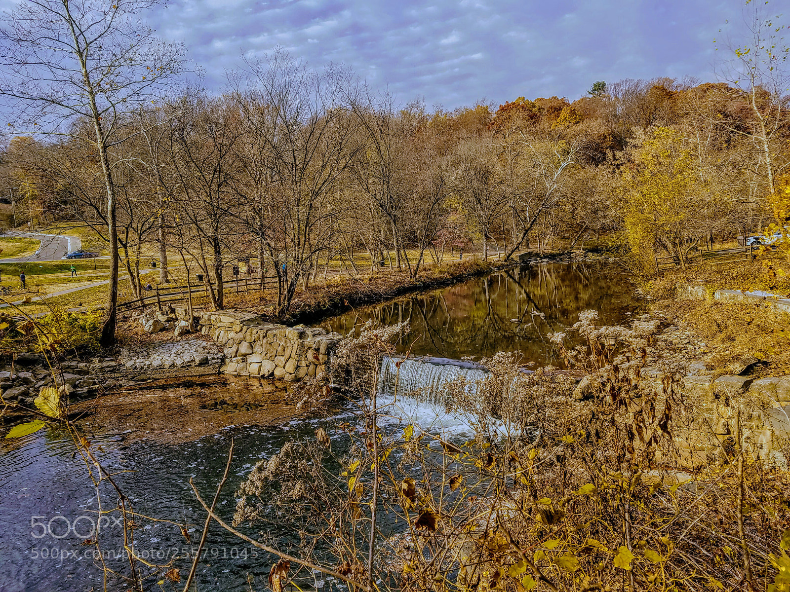 Samsung Galaxy S7 Edge sample photo. Fall in chevy chase photography