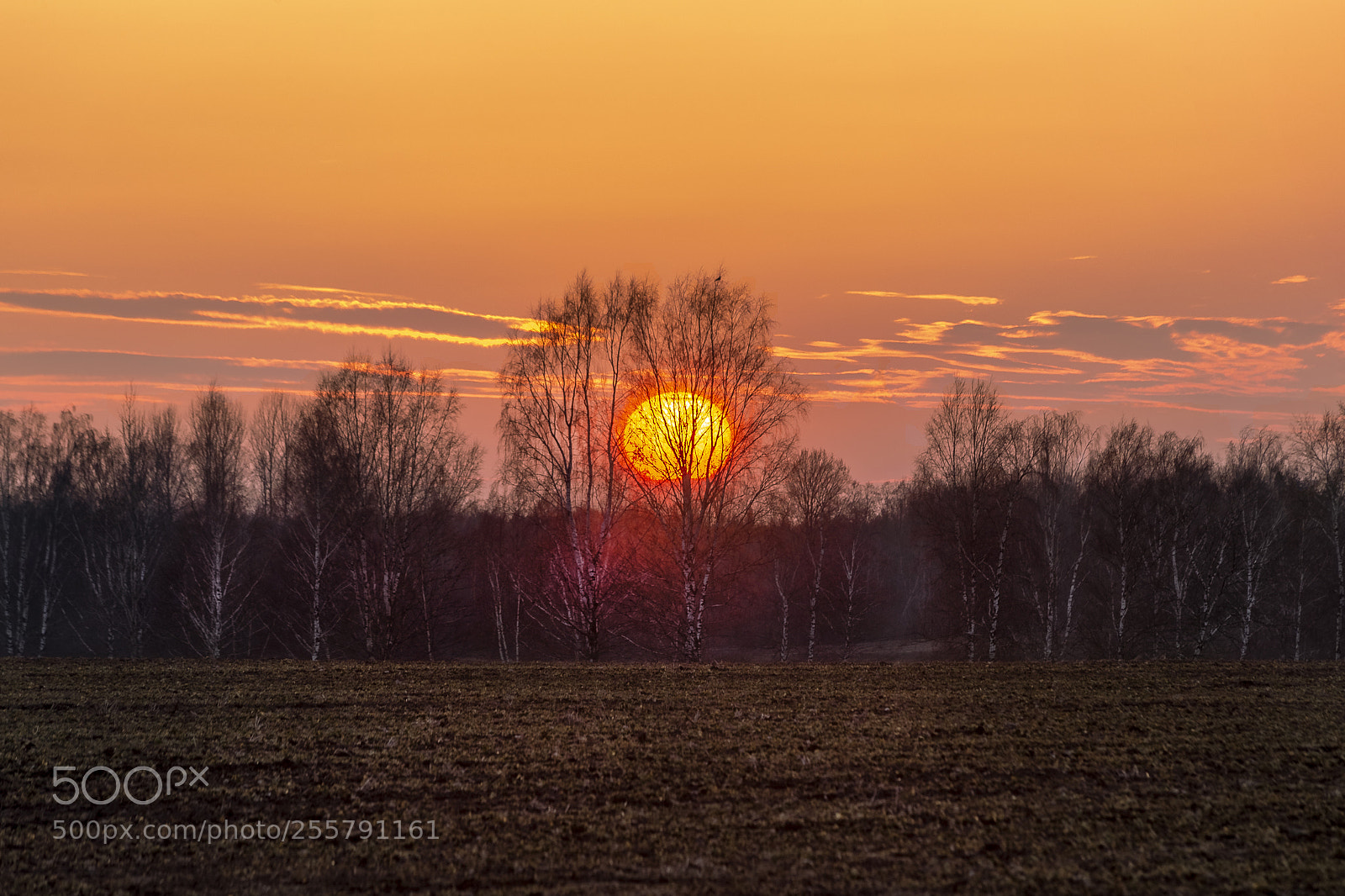 Canon EOS 6D sample photo. Sunset photography