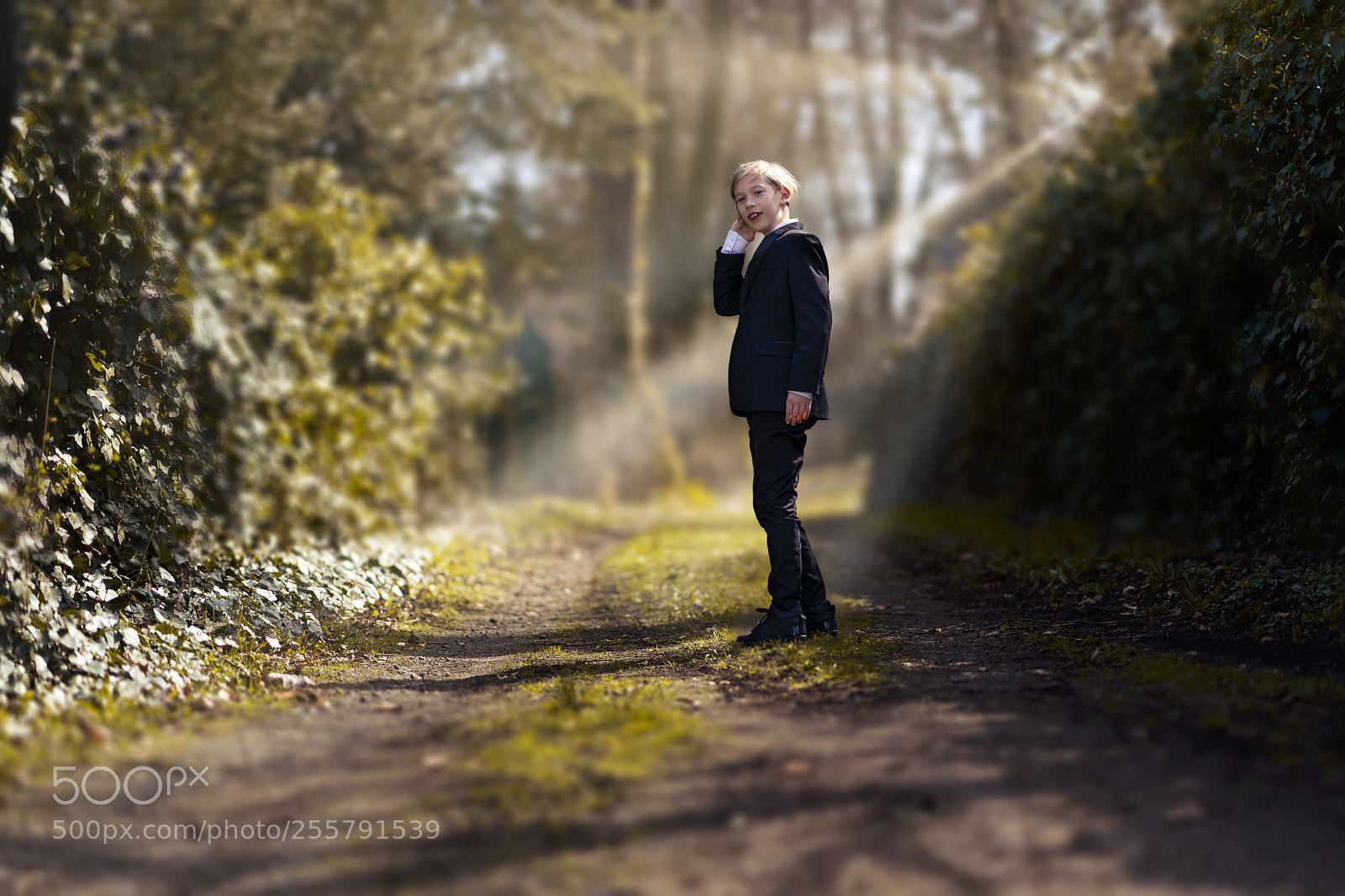 Sony a9 sample photo. Footpath photography