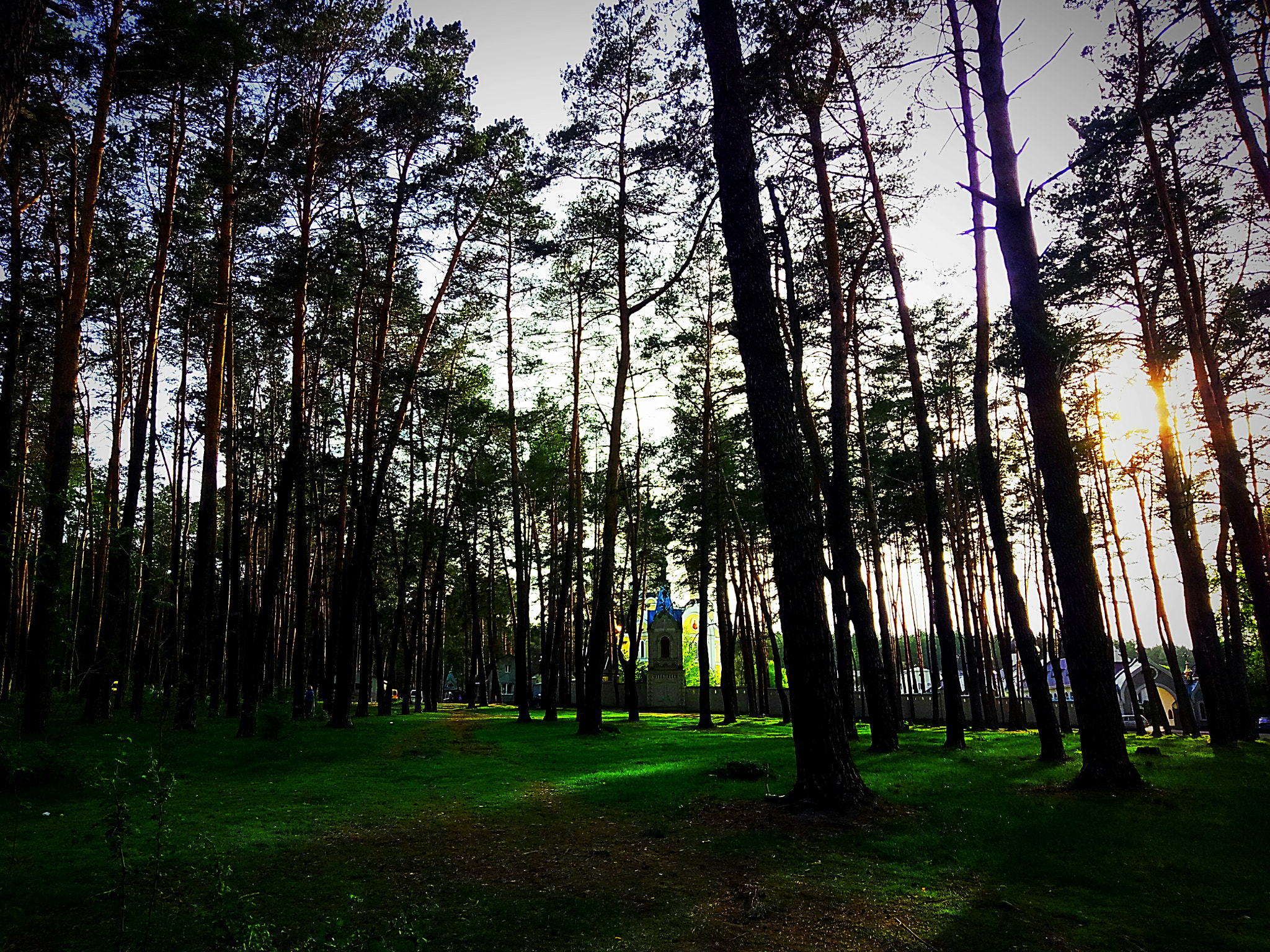Meizu U20 sample photo