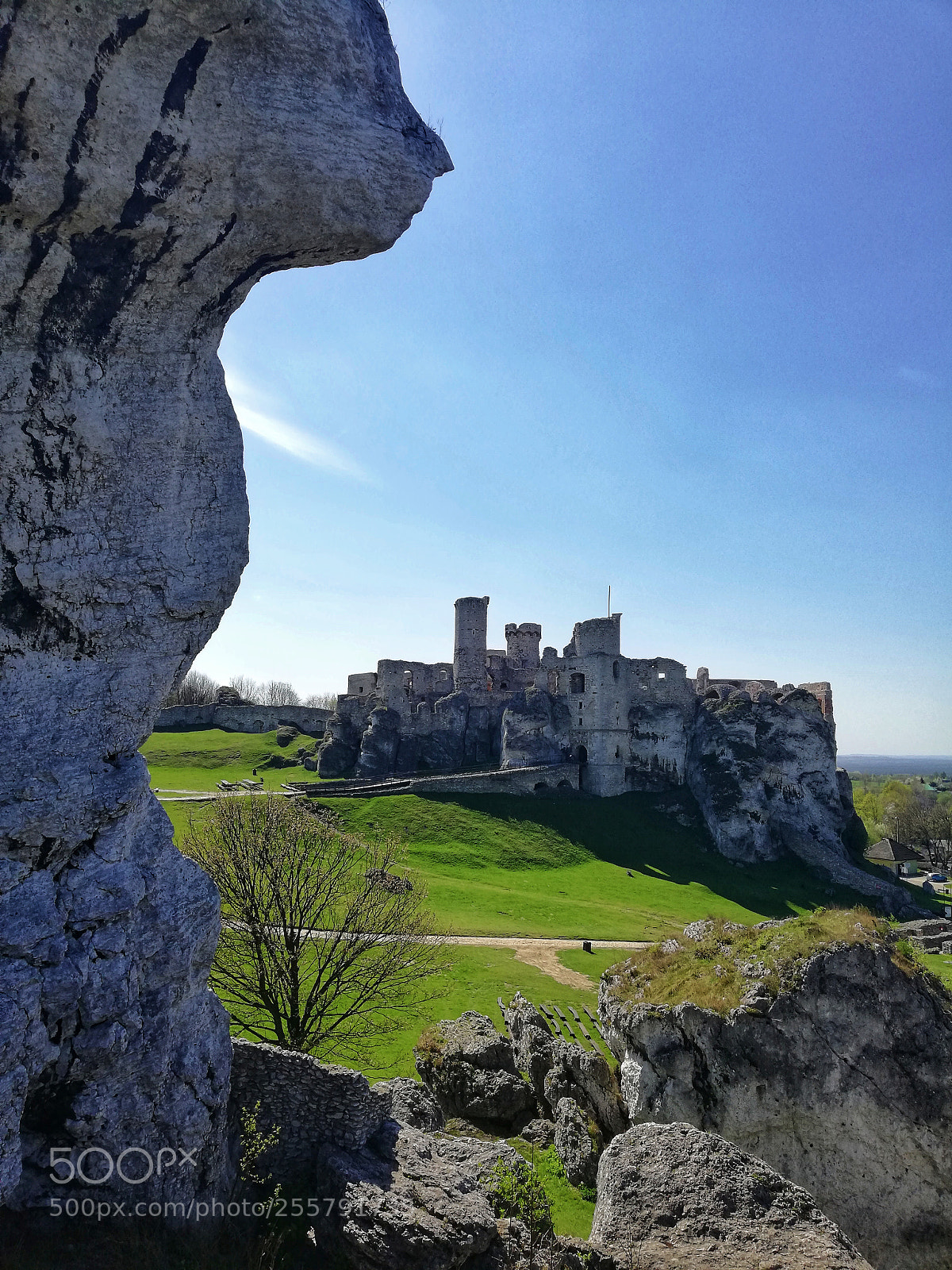 HUAWEI Mate 10 Lite sample photo. Ogrodzieniec castle photography