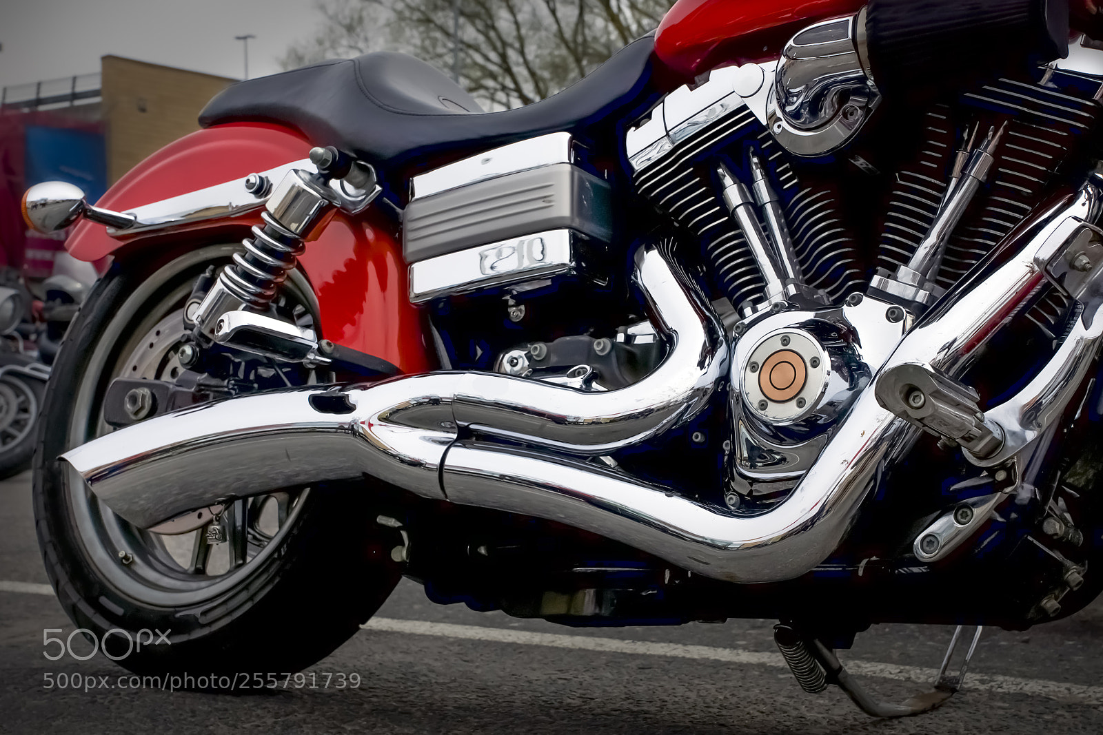 Sony SLT-A77 sample photo. Chopper world photography