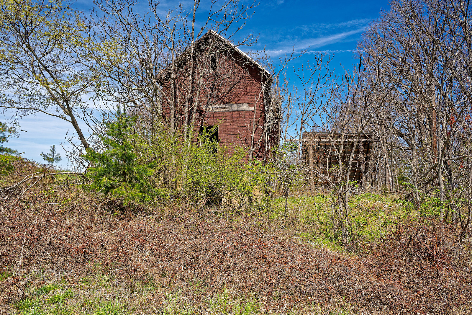 Sony a7R III sample photo. Abandonedstructuresdanburync dxo photography