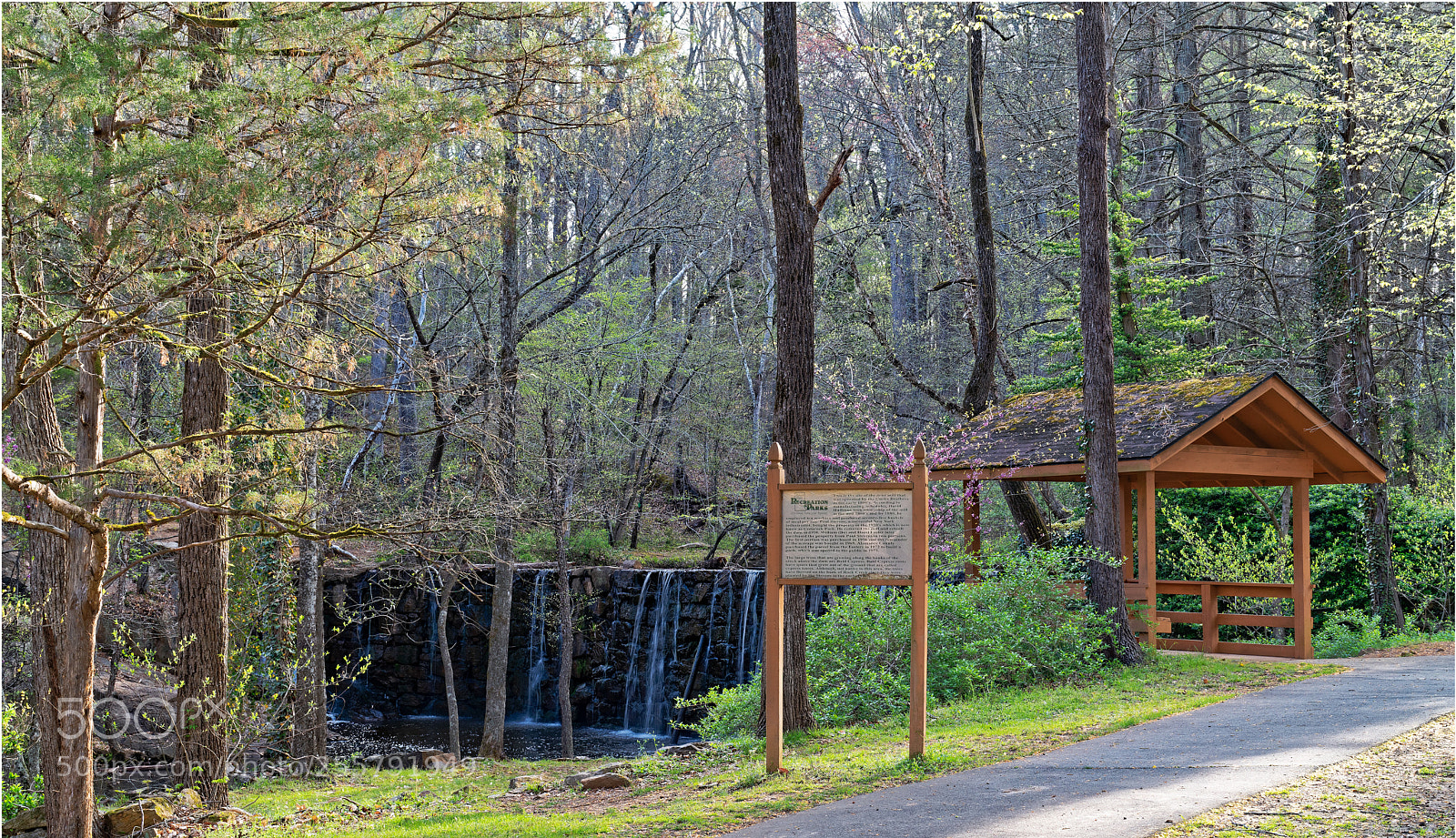 Sony a7R III sample photo. Cedarockparkburlingtonnc photography