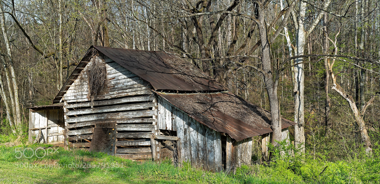 Sony a7R III sample photo. Cedarockparkburlingtonnc photography