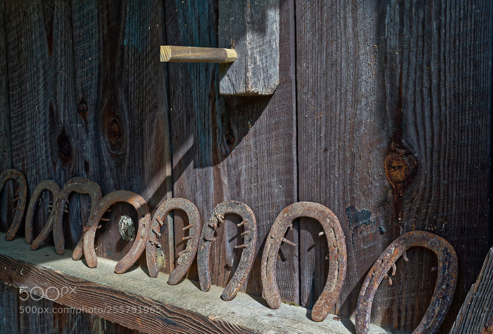 Sony a7R III sample photo. Cedarockparkburlingtonnc photography