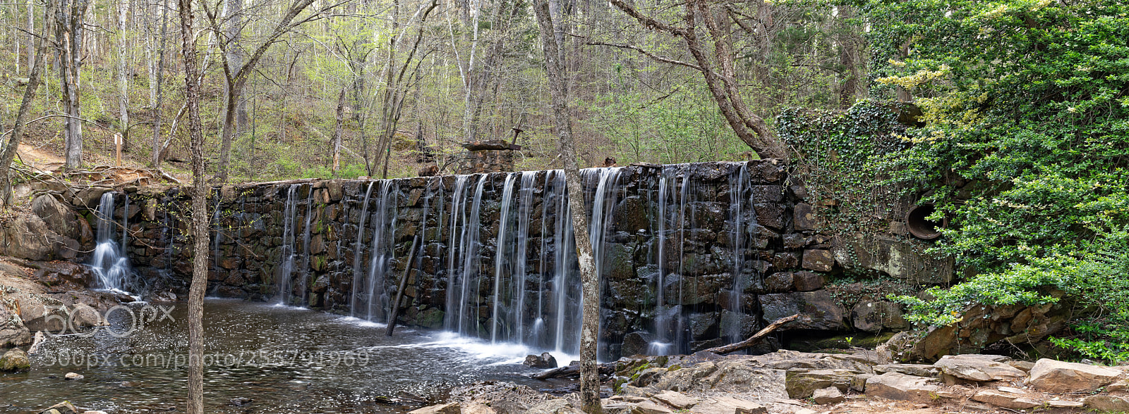 Sony a7R III sample photo. Cedarockparkburlingtonnc photography