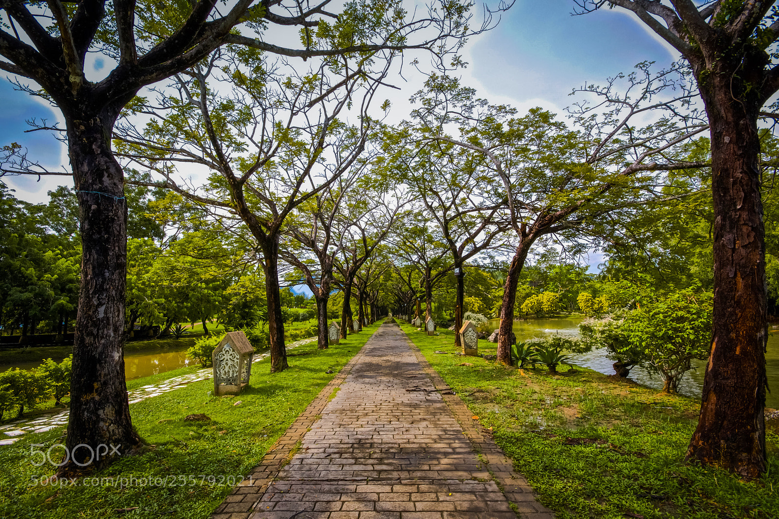 Nikon D7100 sample photo. Natural perspective photography
