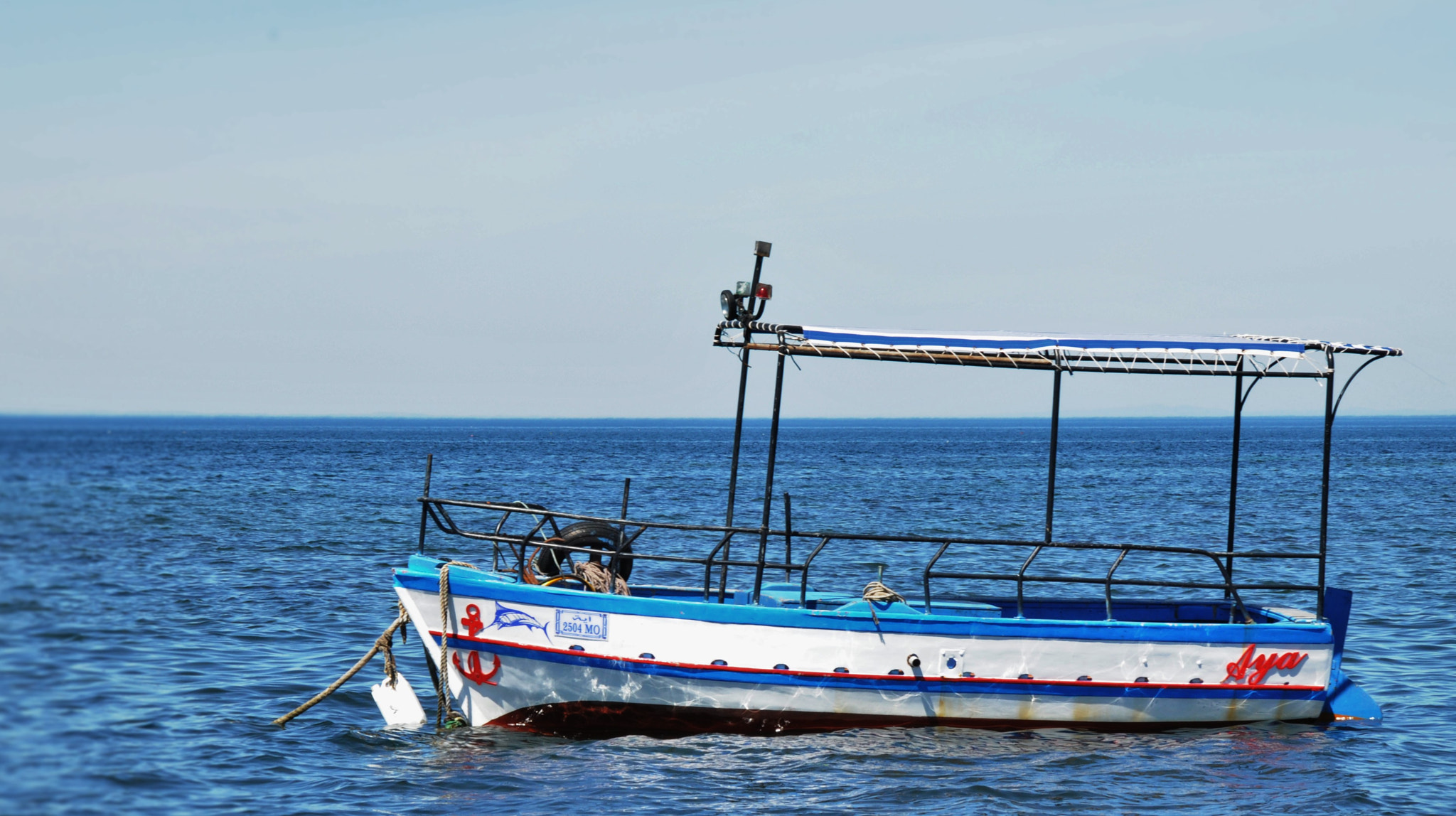 Nikon D300S sample photo. Blue photography