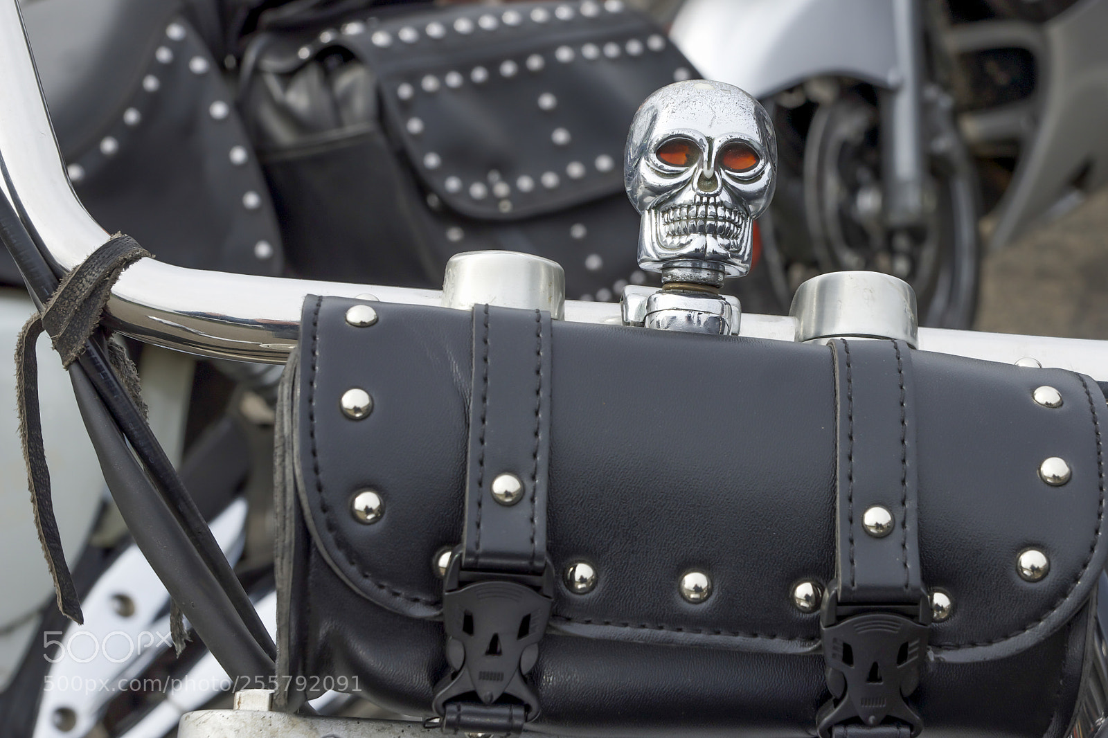Sony SLT-A77 sample photo. Chopper world photography