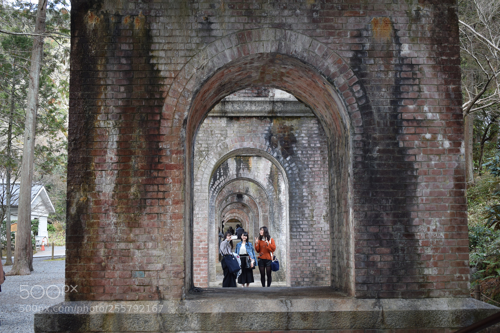 Nikon D5300 sample photo. 1.2.3. click photography