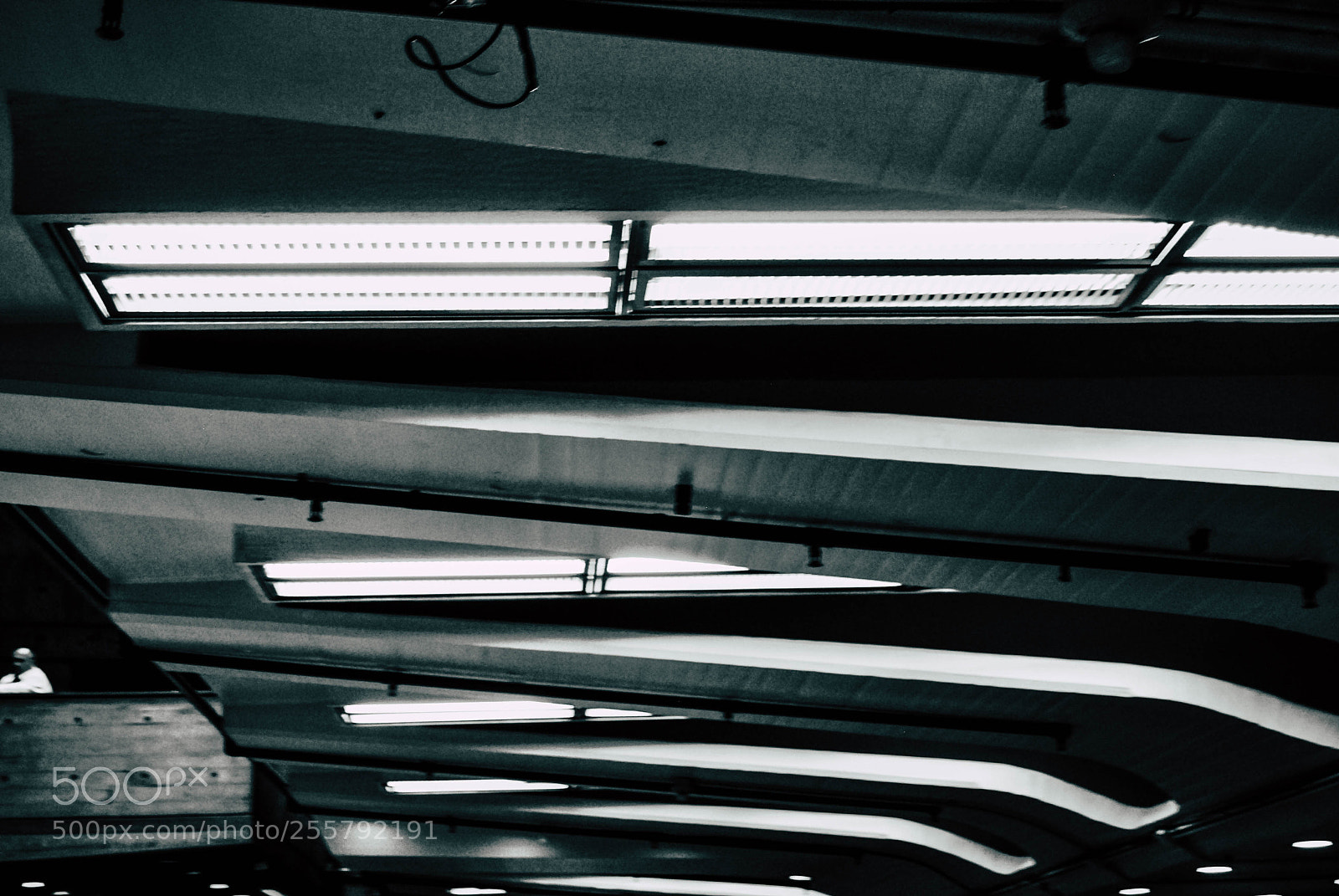 Nikon D60 sample photo. Architecture photography