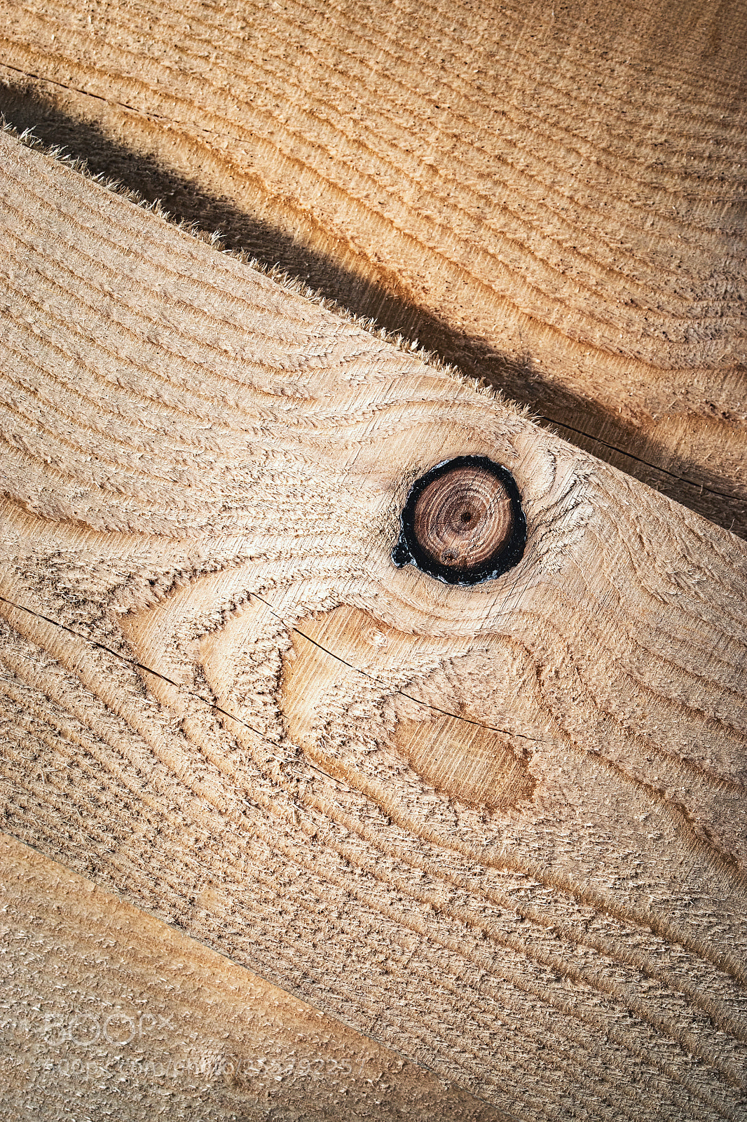 Nikon D5500 sample photo. Detail oblique untreated spruce photography