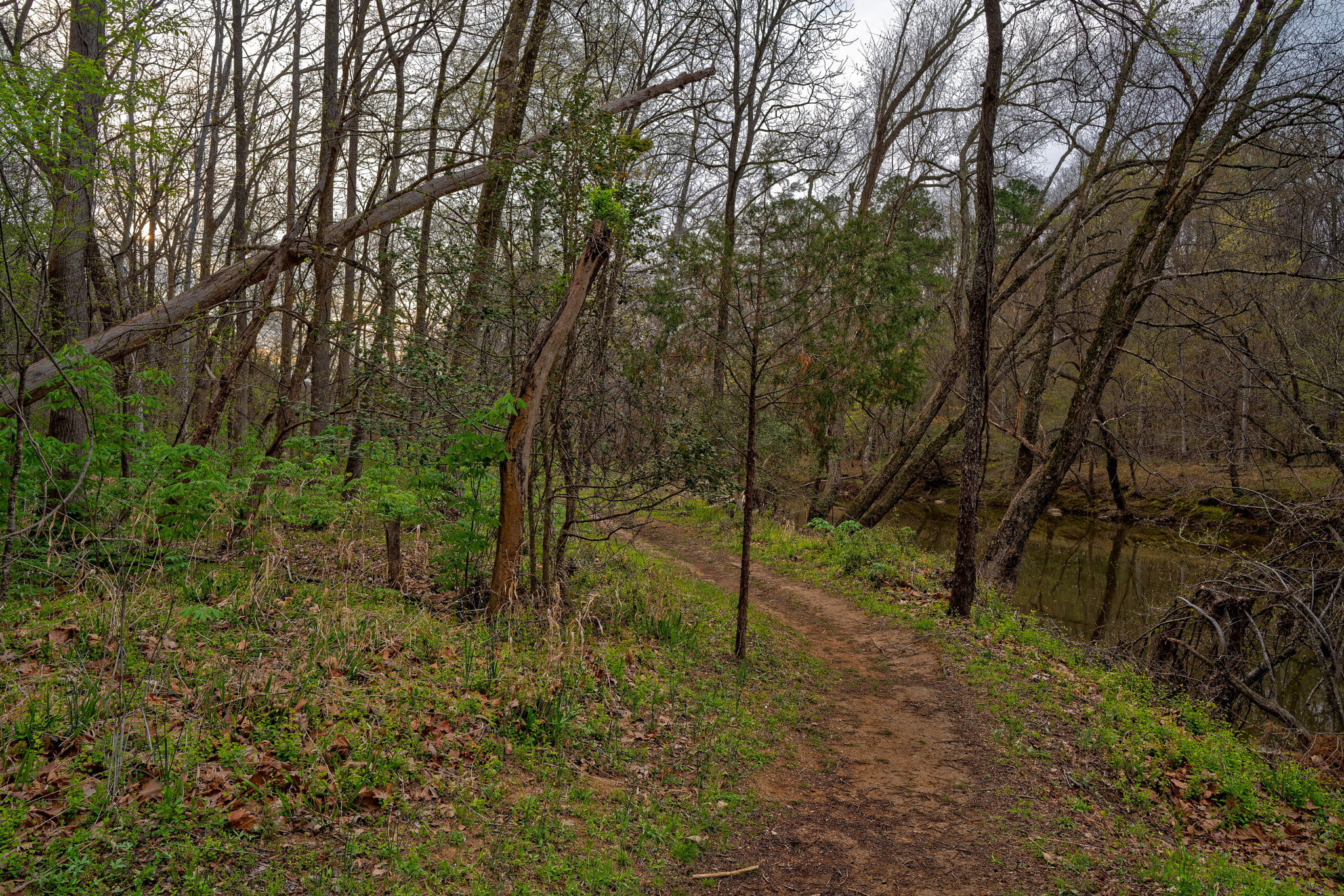 ZEISS Batis 25mm F2 sample photo. Enoriverparkdunnagan traildurhamnc photography