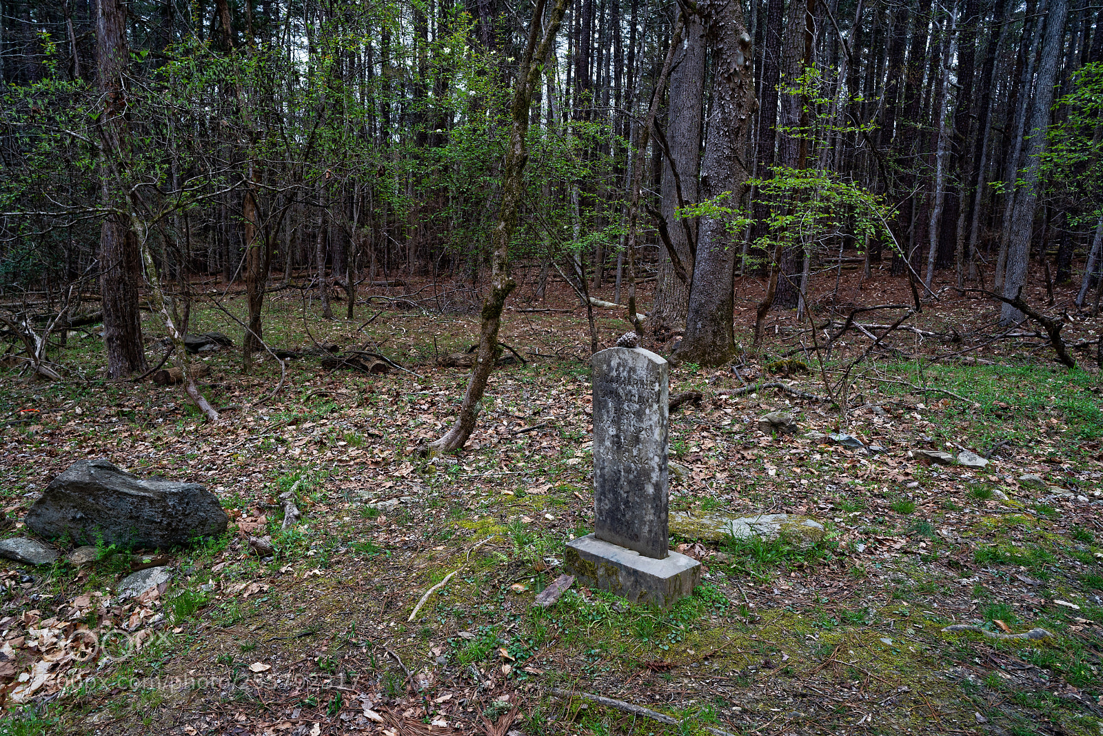 Sony a7R III sample photo. Enoriverparkdunnagan traildurhamnc photography