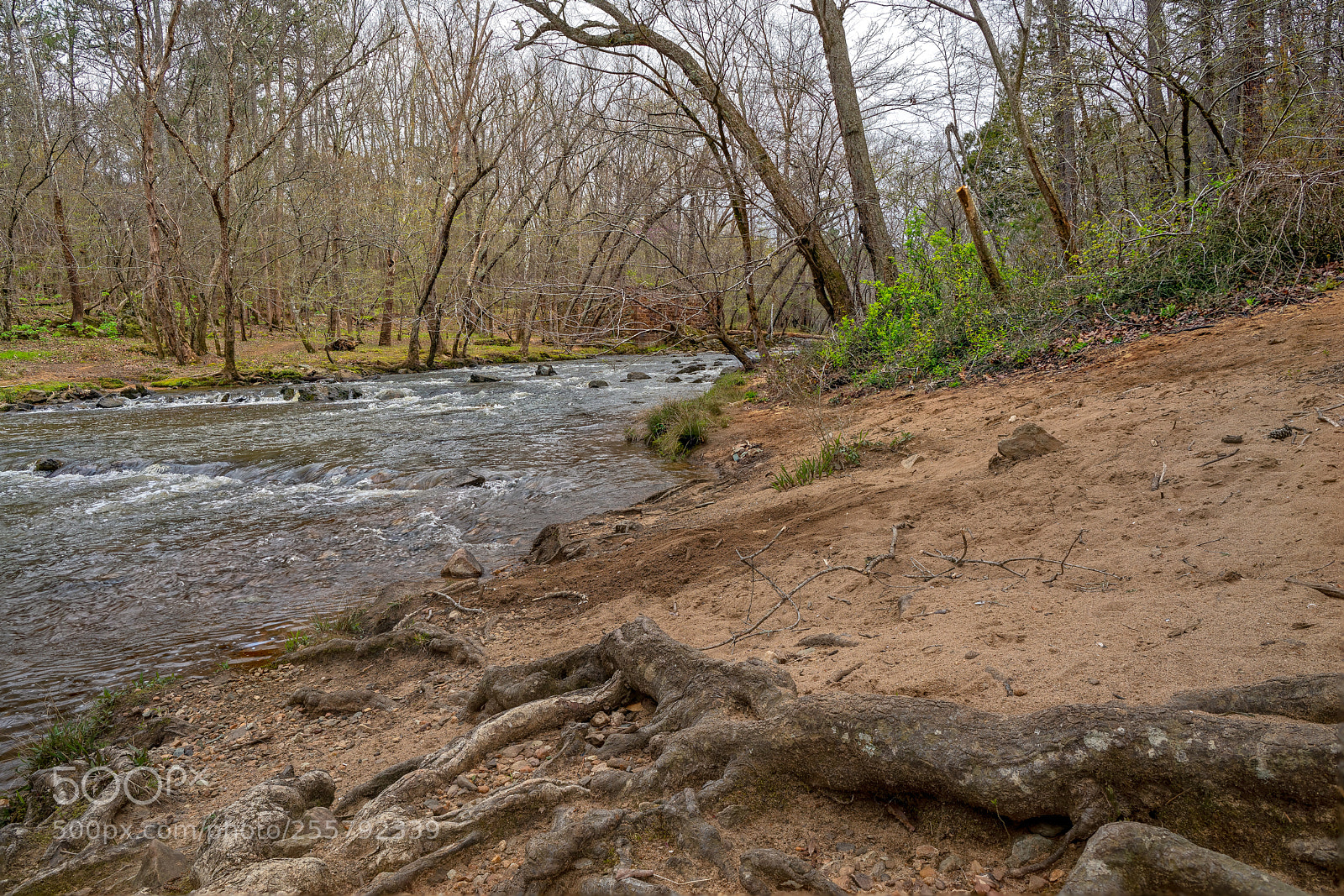 Sony a7R III sample photo. Enoriverparkdunnagan traildurhamnc fs photography