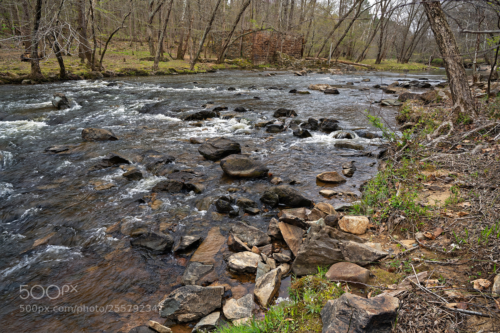 Sony a7R III sample photo. Enoriverparkdunnagan traildurhamnc fs photography