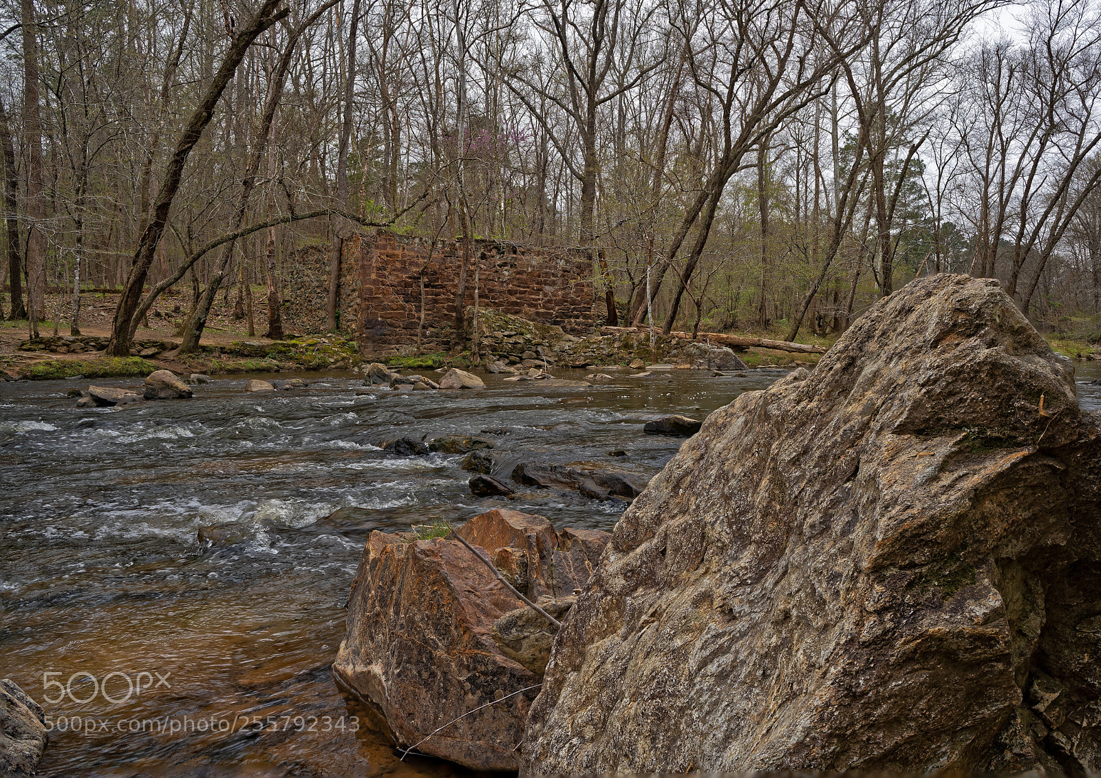 Sony a7R III sample photo. Enoriverparkdunnagan traildurhamnc fs photography