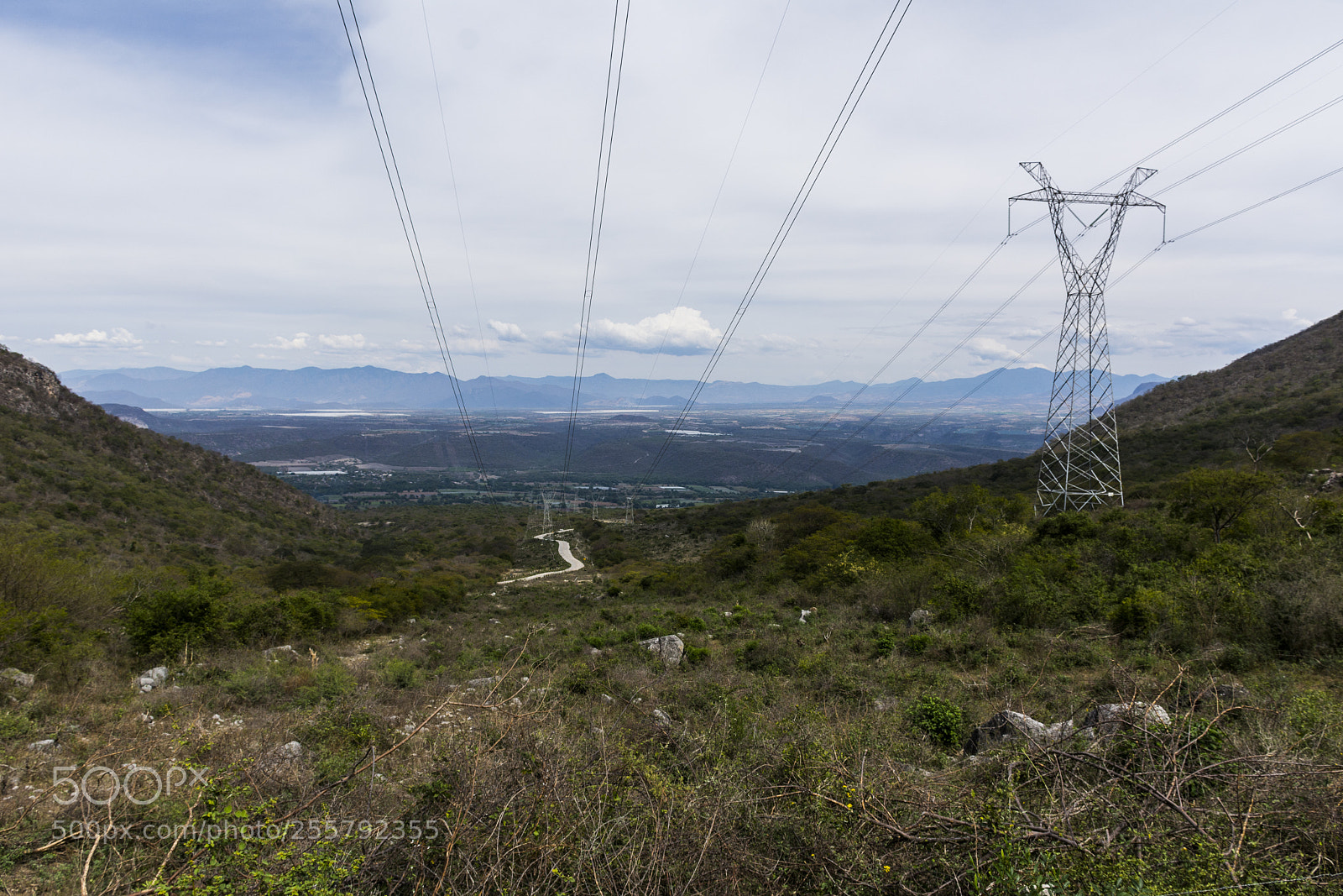 Nikon D7100 sample photo. Lines and road down photography
