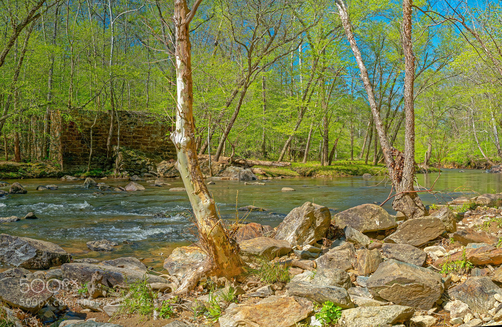Sony a7R III sample photo. Enoriverparkdunnagantraildurhamnc pano photography